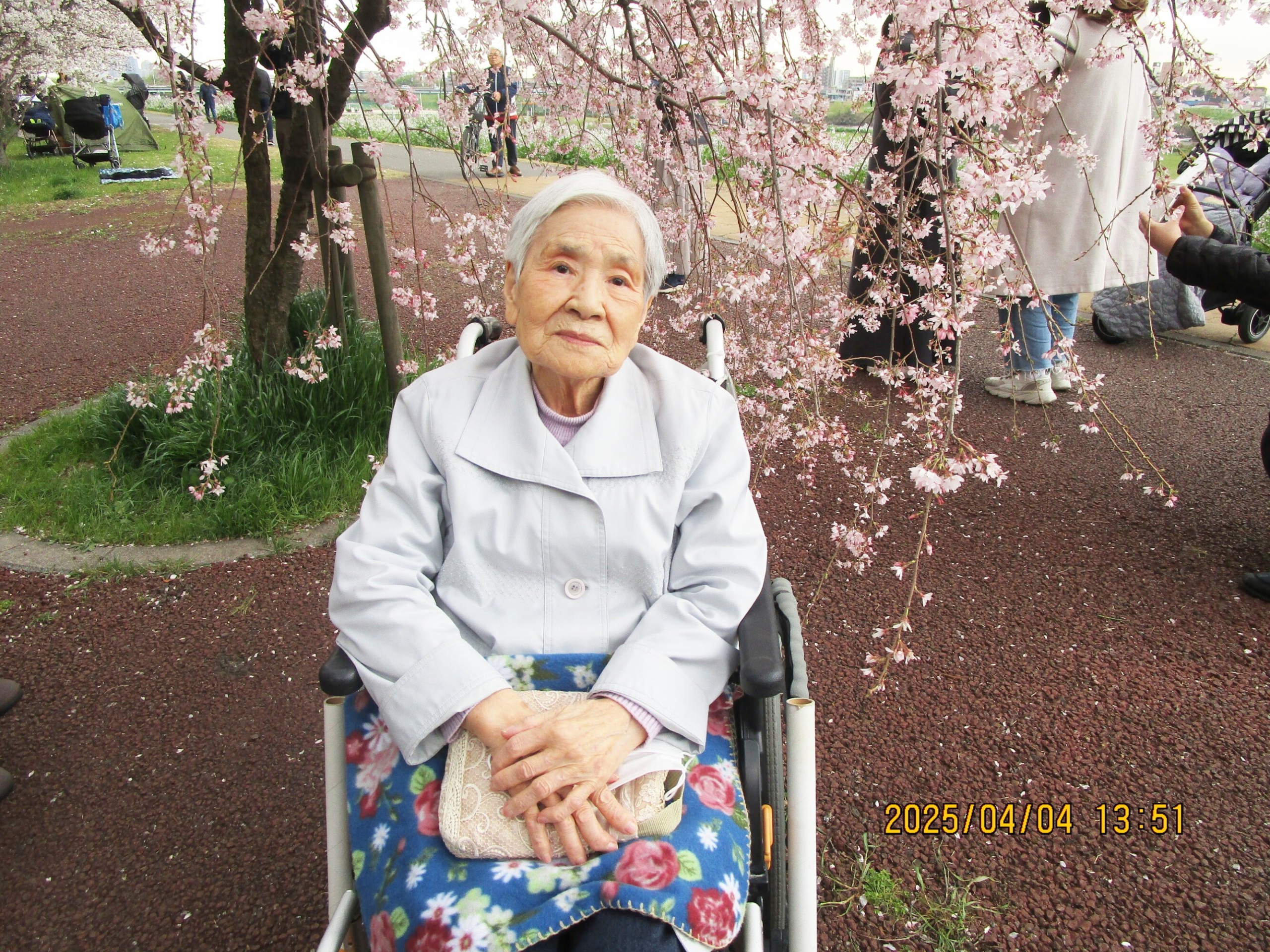 お花見-1　ニチイホーム下丸子