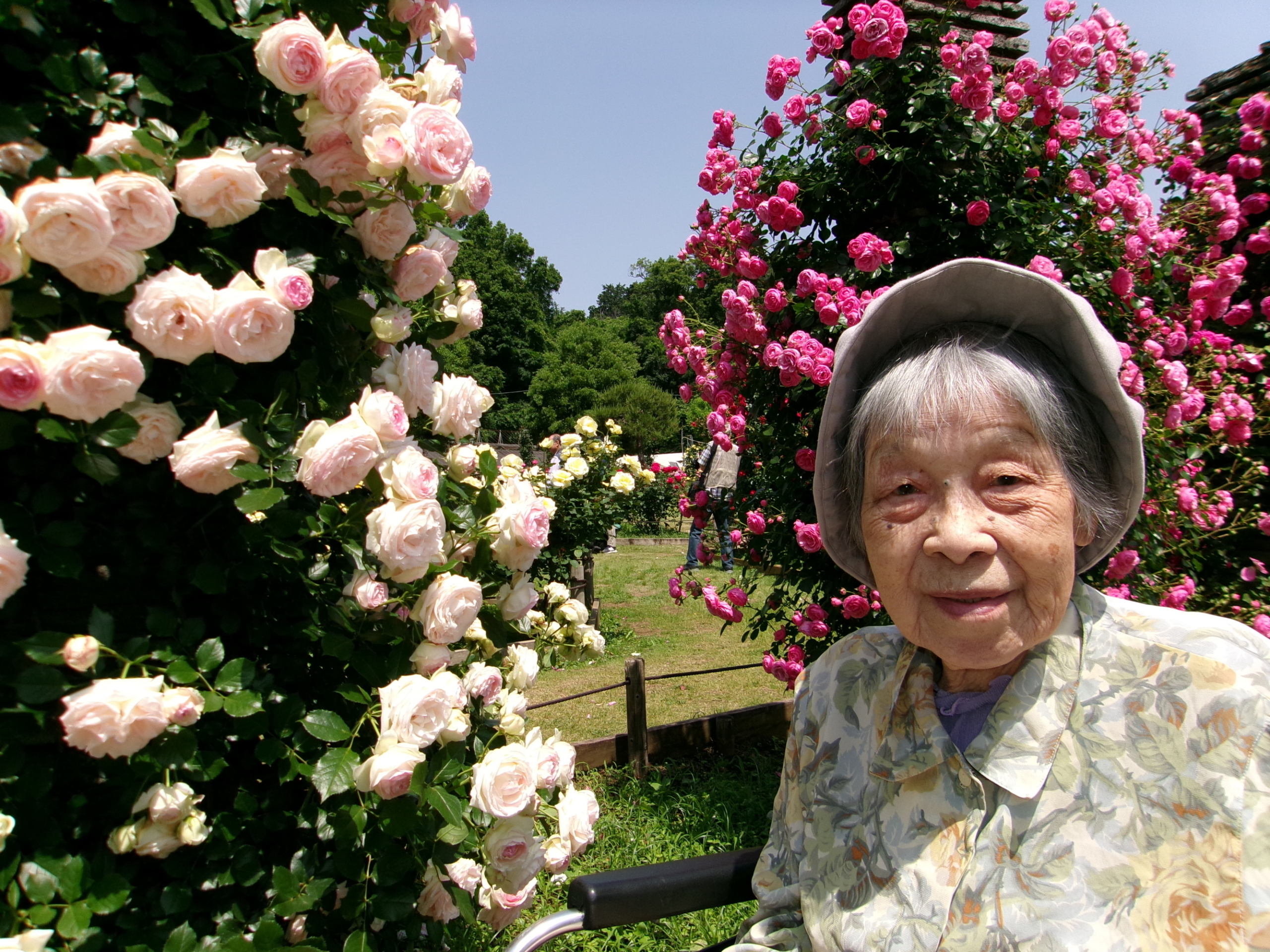 生田緑地バラ園-1　ニチイホームさいたま新都心