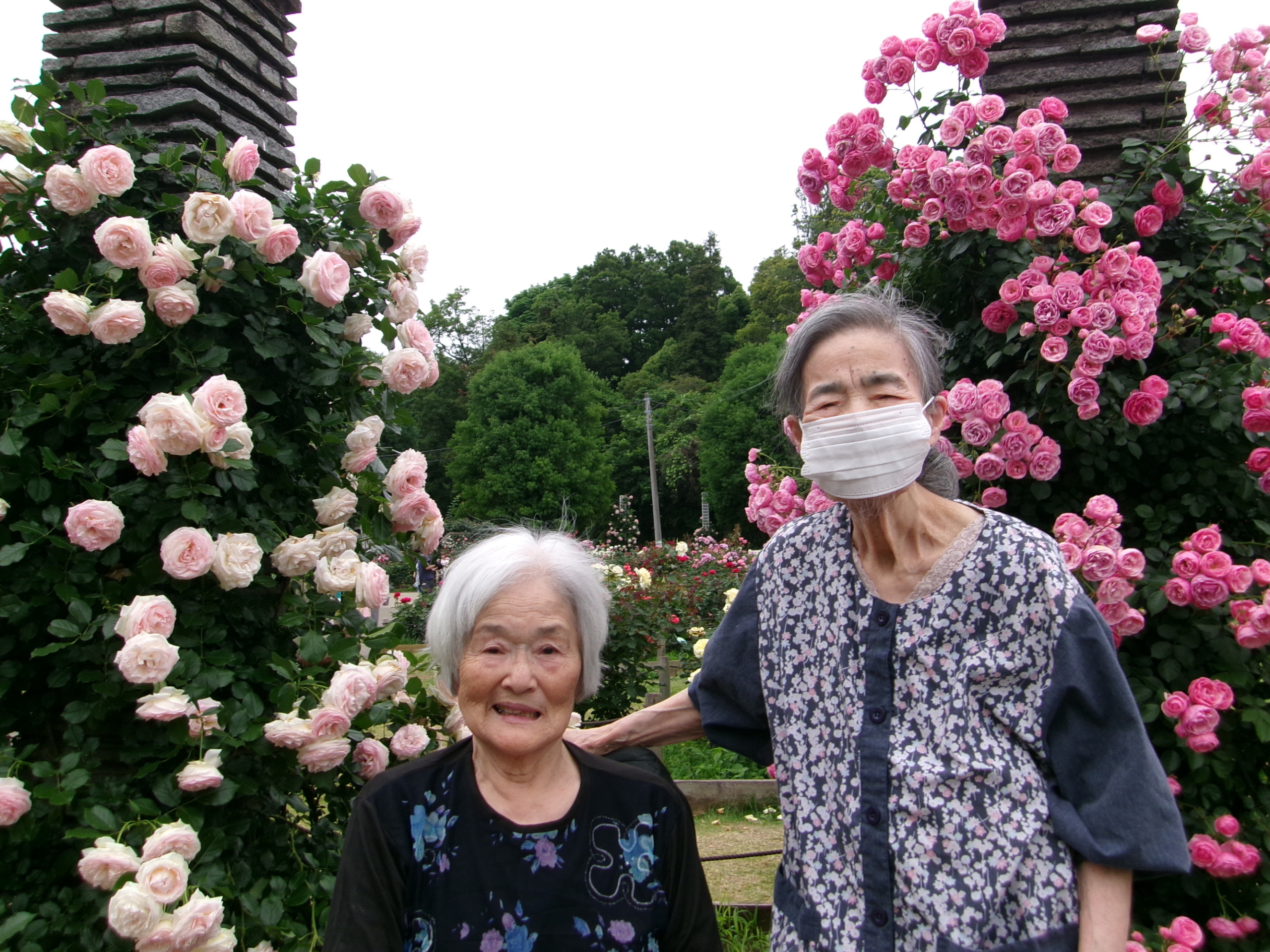 生田緑地バラ園-3　ニチイホームさいたま新都心
