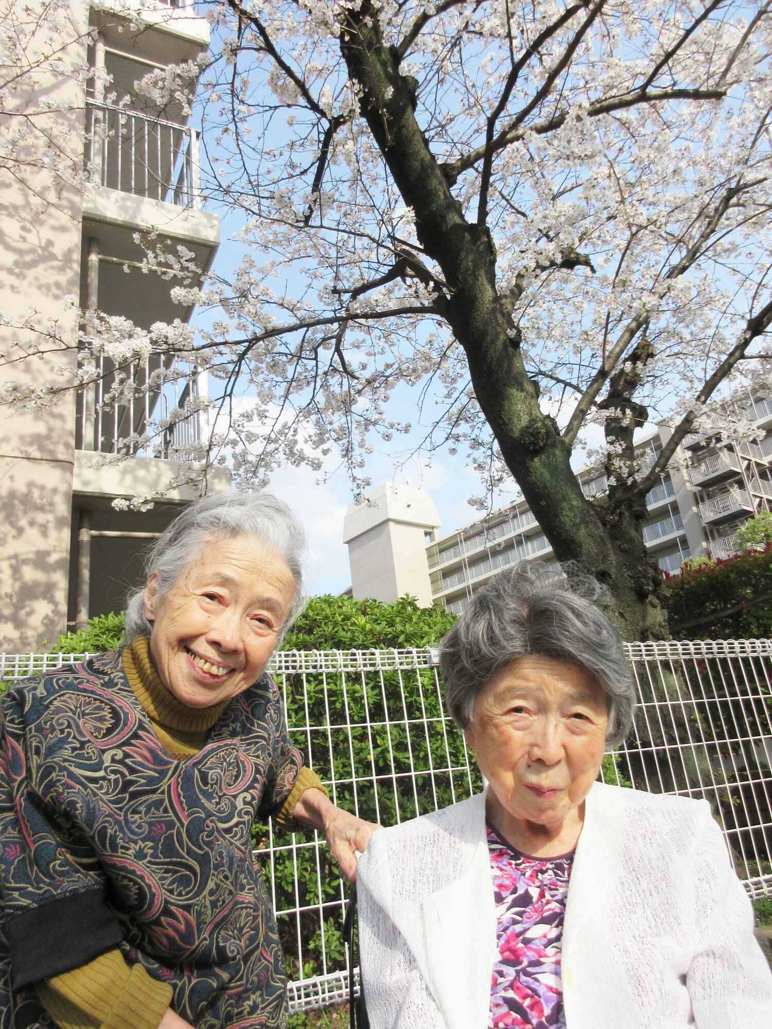 お花見-2　ニチイホーム与野本町