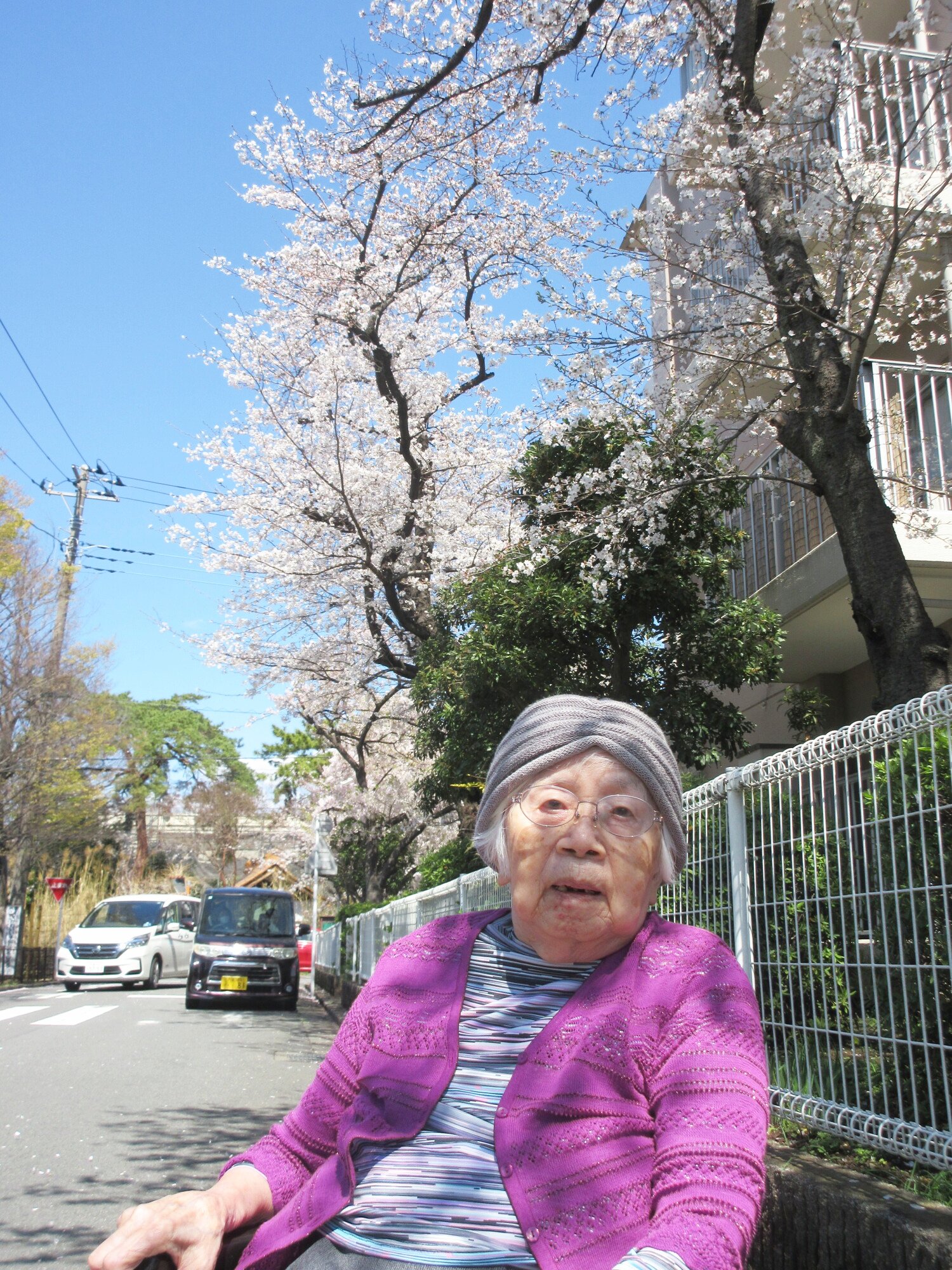 お花見-1　ニチイホーム与野本町