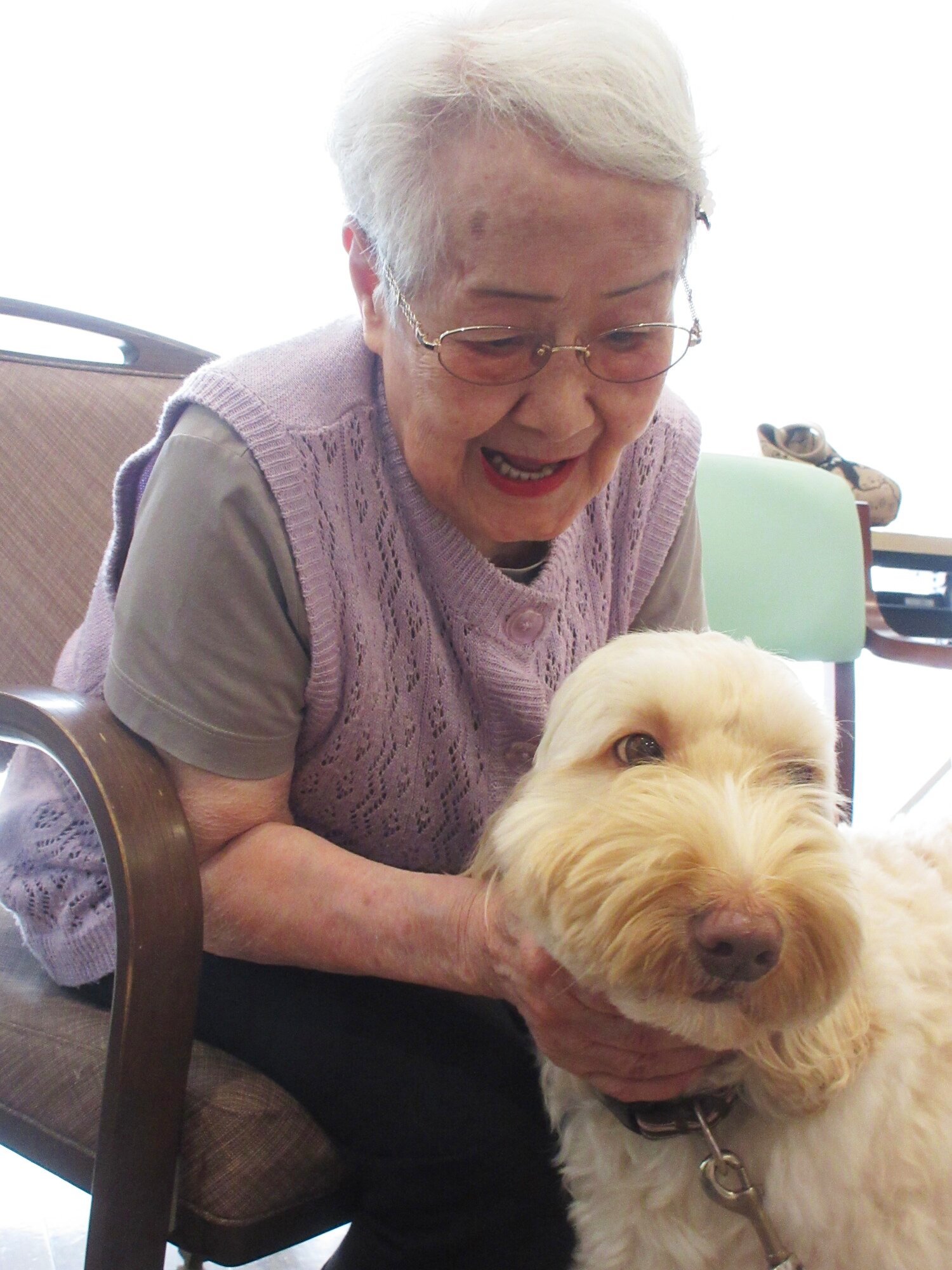 セラピー犬とのふれあい-2　ニチイホーム用賀