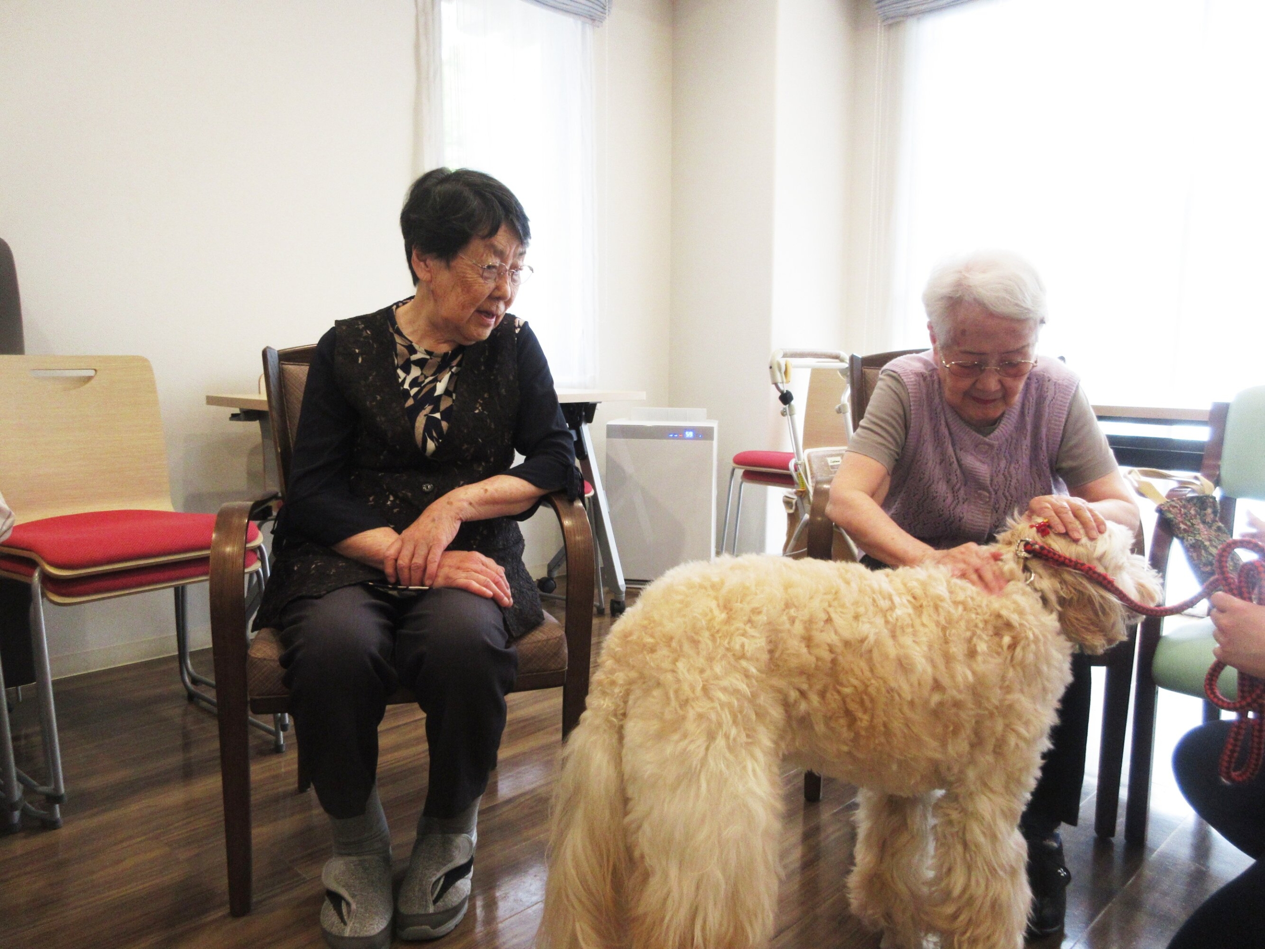 セラピー犬とのふれあい-3　ニチイホーム用賀