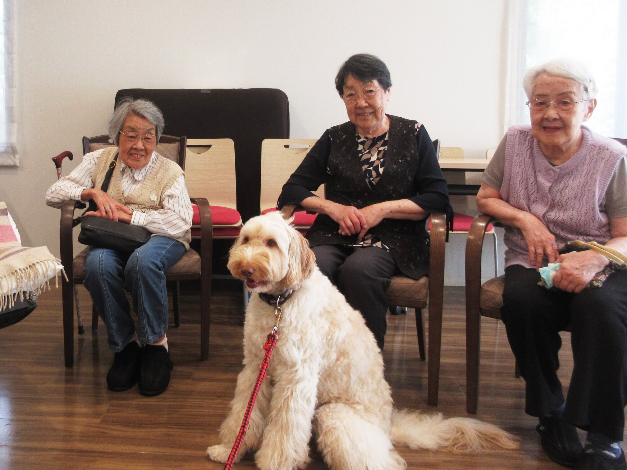セラピー犬とのふれあい-5　ニチイホーム用賀
