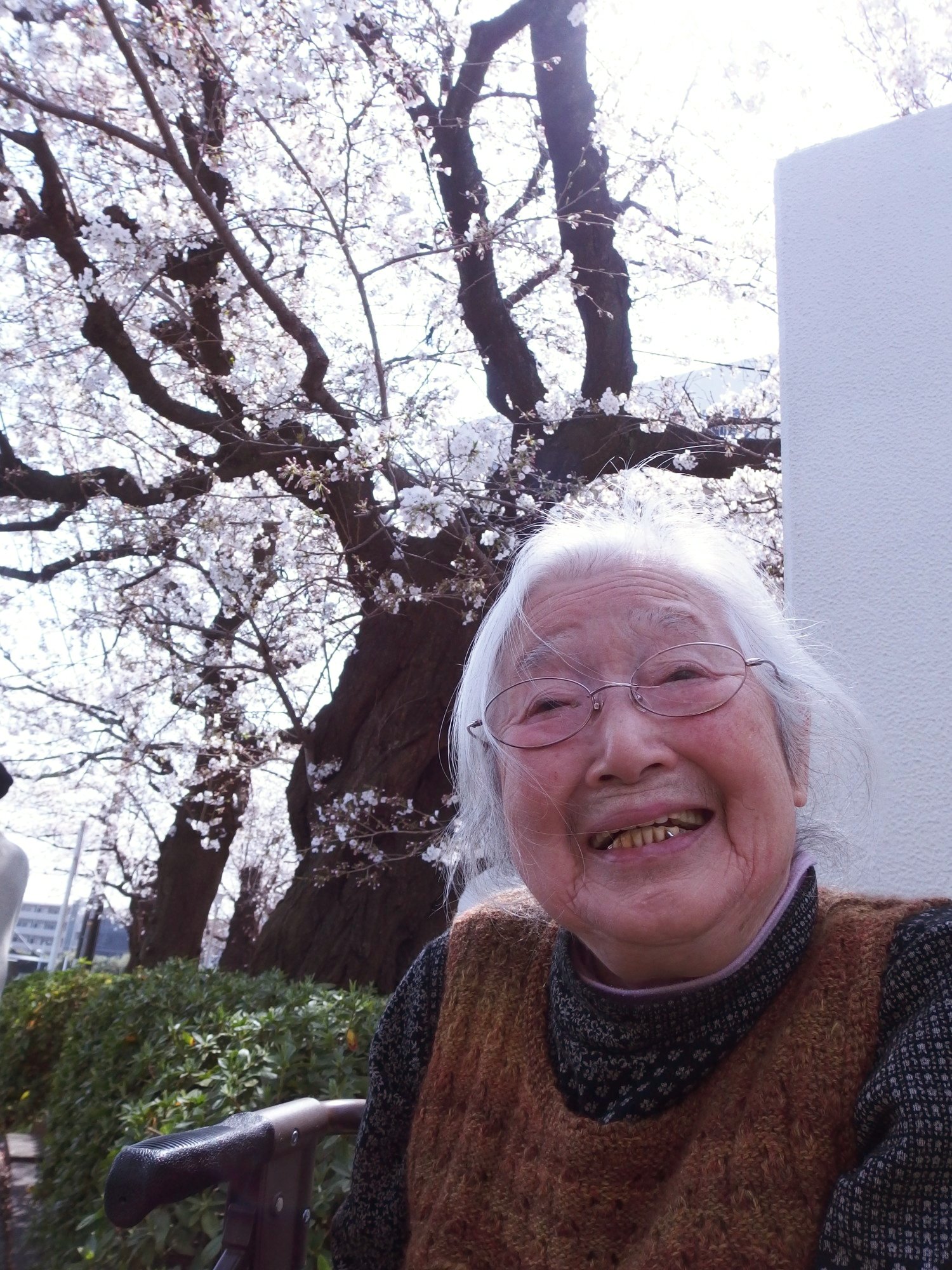 お花見散策へ-3　ニチイホーム青葉台