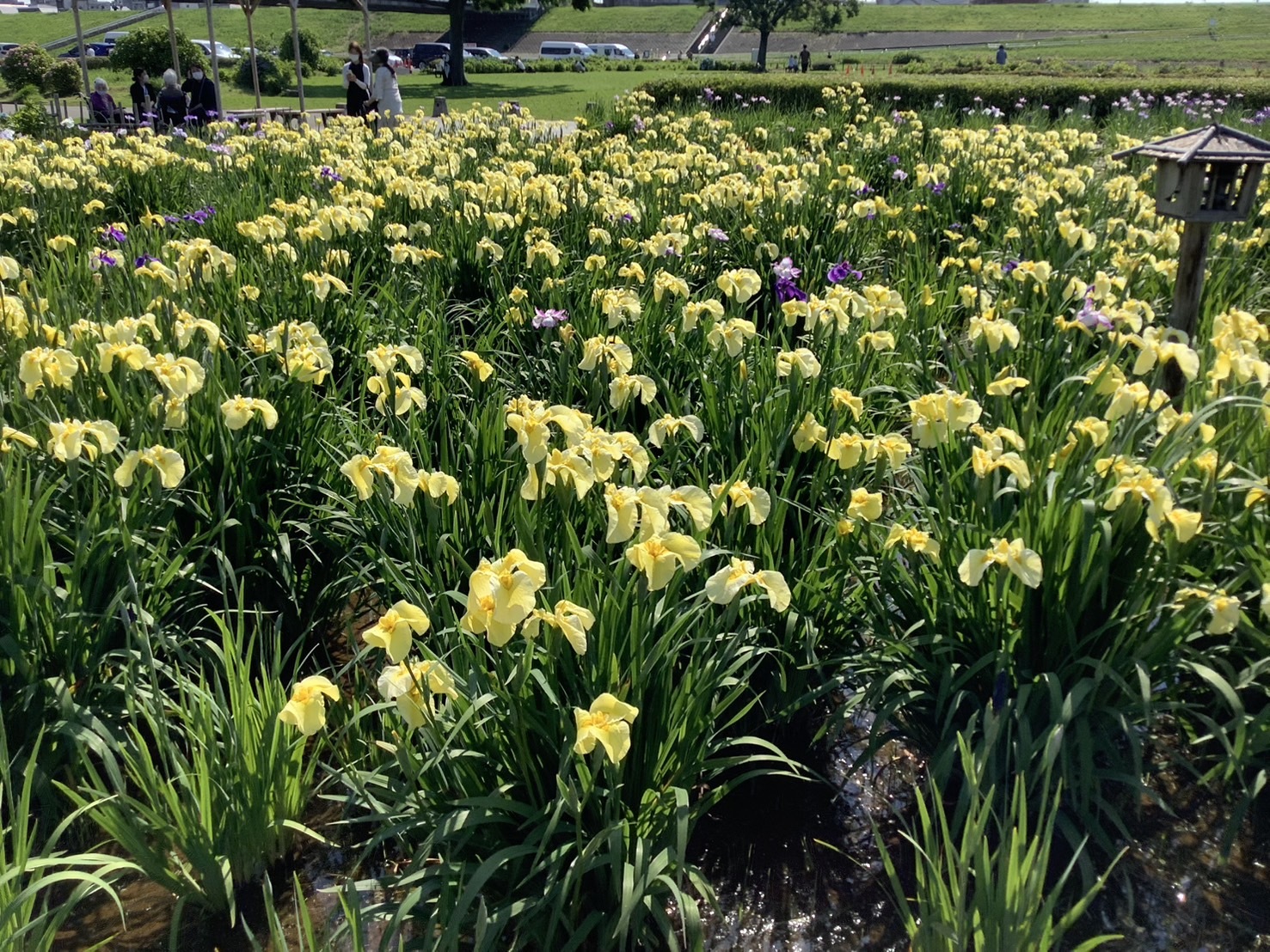 菖蒲園-2　ニチイホーム江戸川