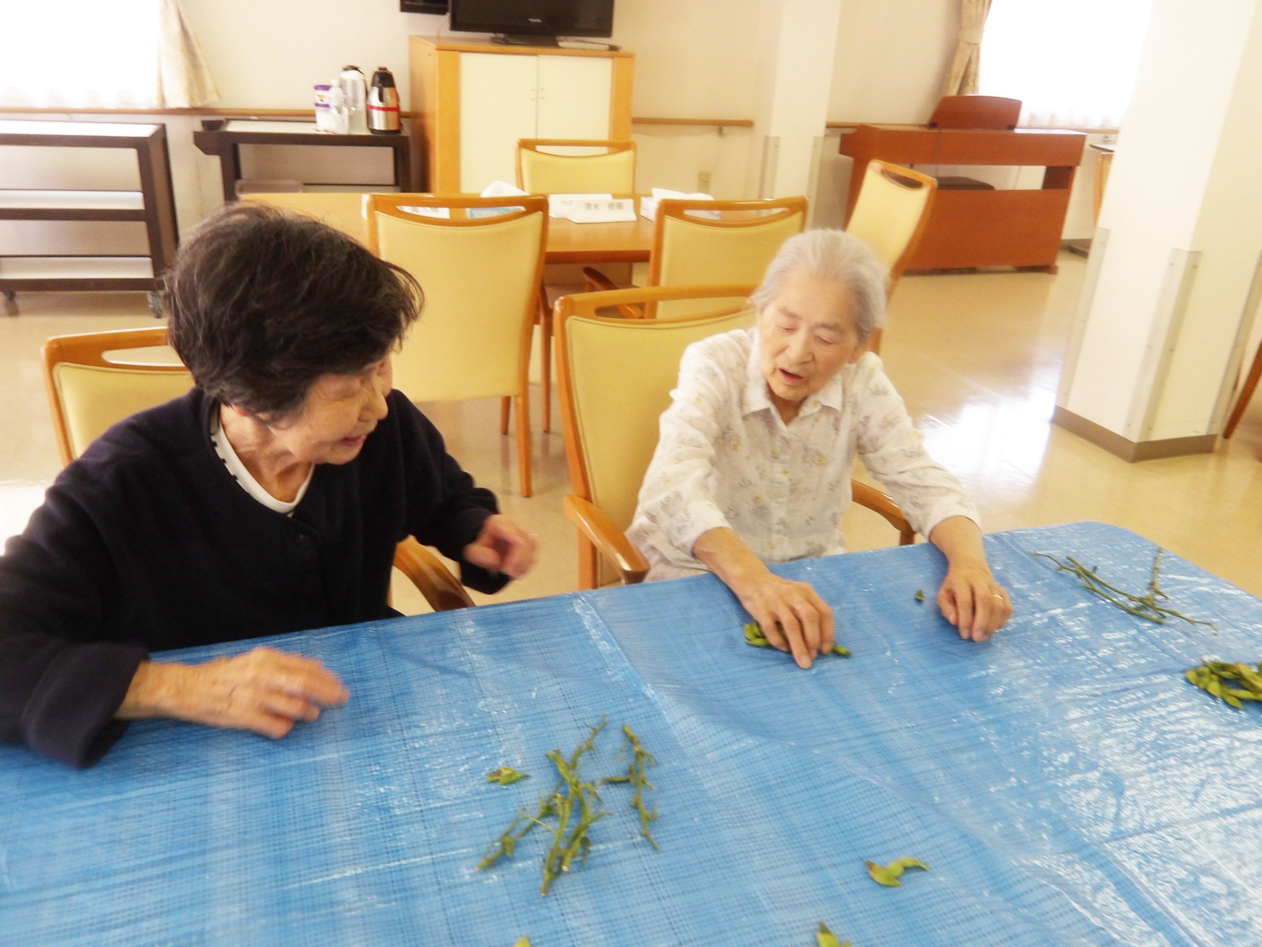 枝豆収穫＆試食会-3　ニチイホーム東府中
