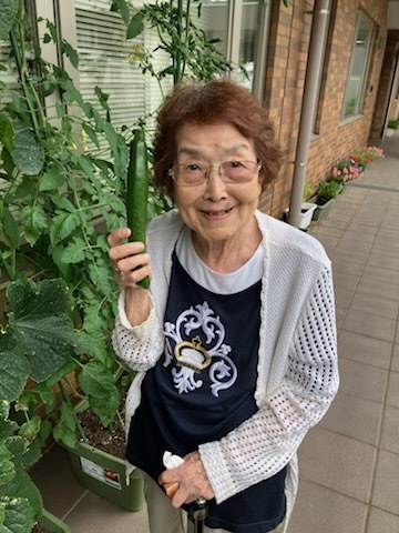 初収穫（トマト編）-3　ニチイホーム碑文谷