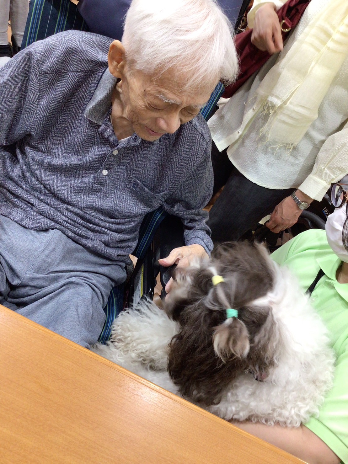 セラピー犬とのふれあい-2　ニチイホーム板橋徳丸
