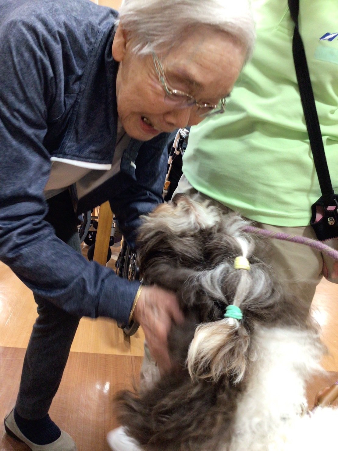 セラピー犬とのふれあい-3　ニチイホーム板橋徳丸