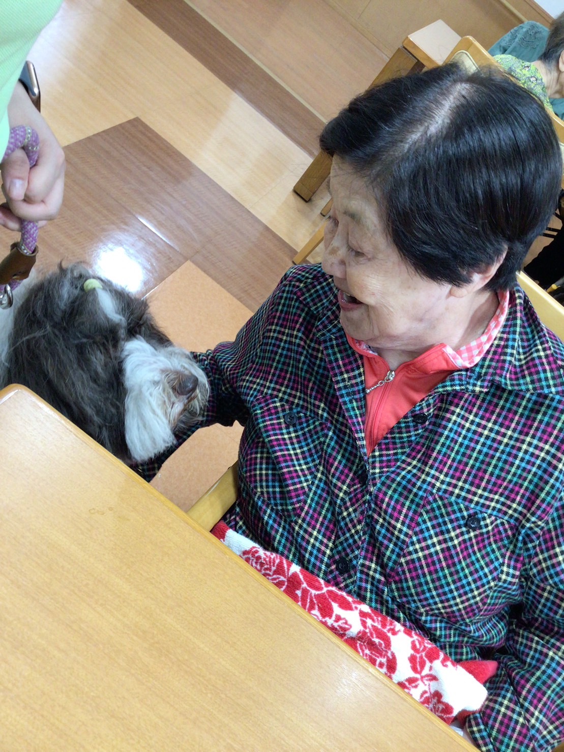 セラピー犬とのふれあい-4　ニチイホーム板橋徳丸