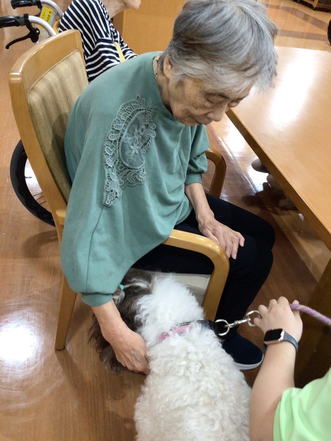 セラピー犬とのふれあい-5　ニチイホーム板橋徳丸