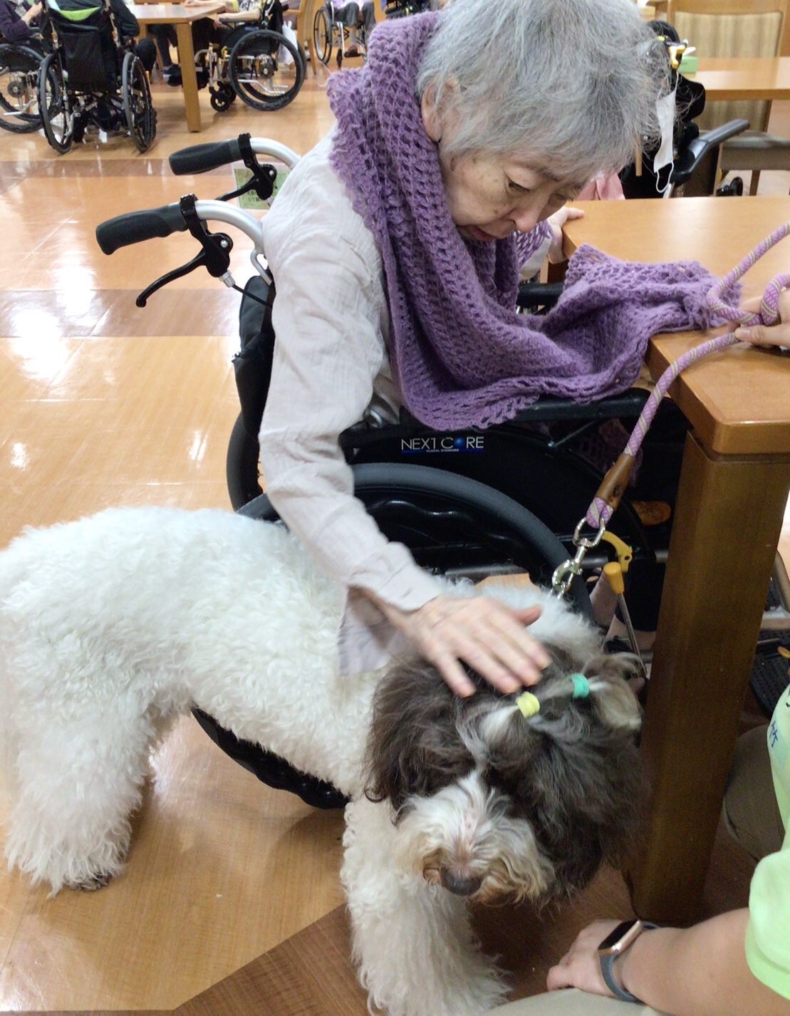 セラピー犬とのふれあい-6　ニチイホーム板橋徳丸