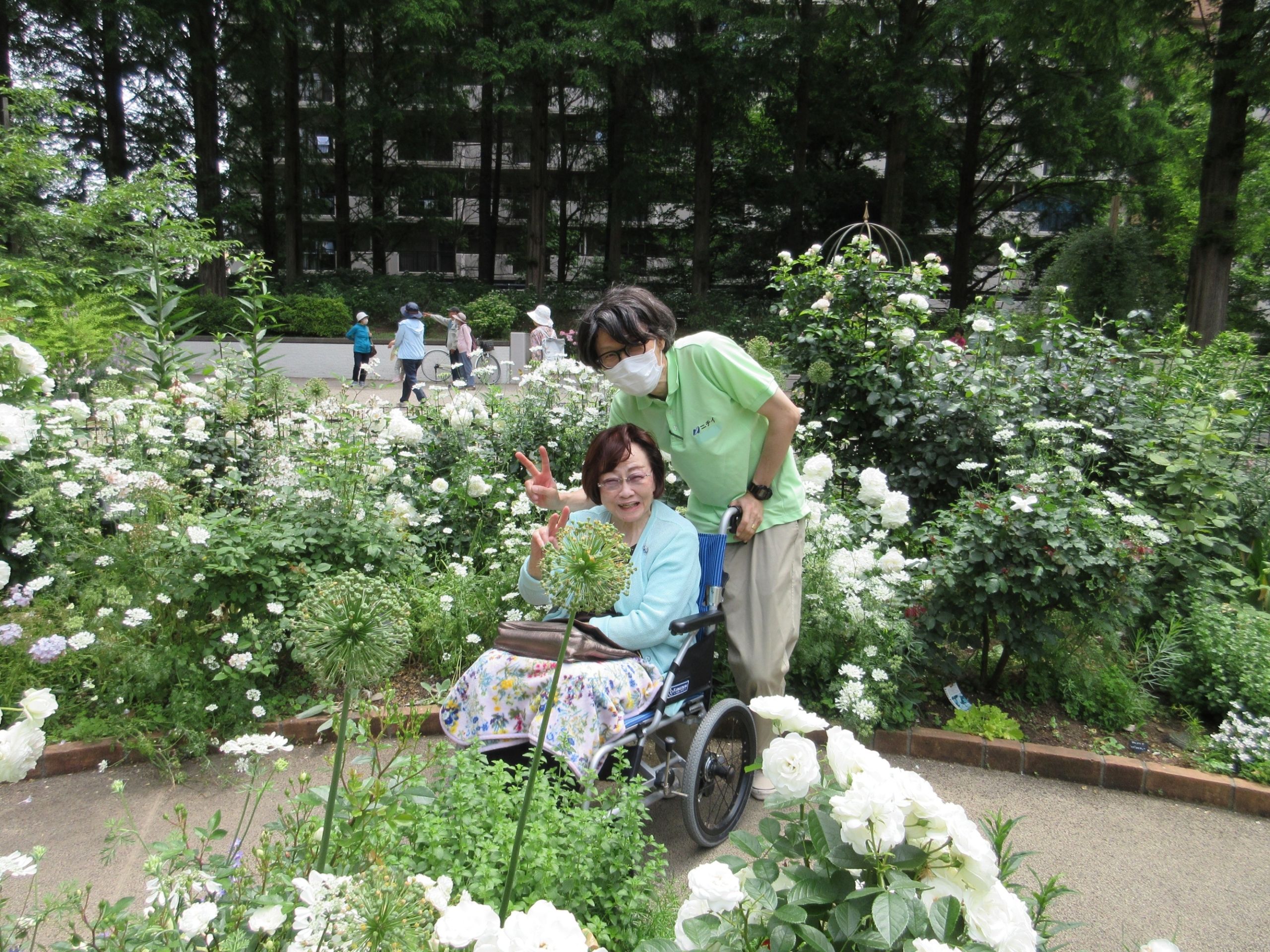 バラ園に行ってきました-3　ニチイホーム目白