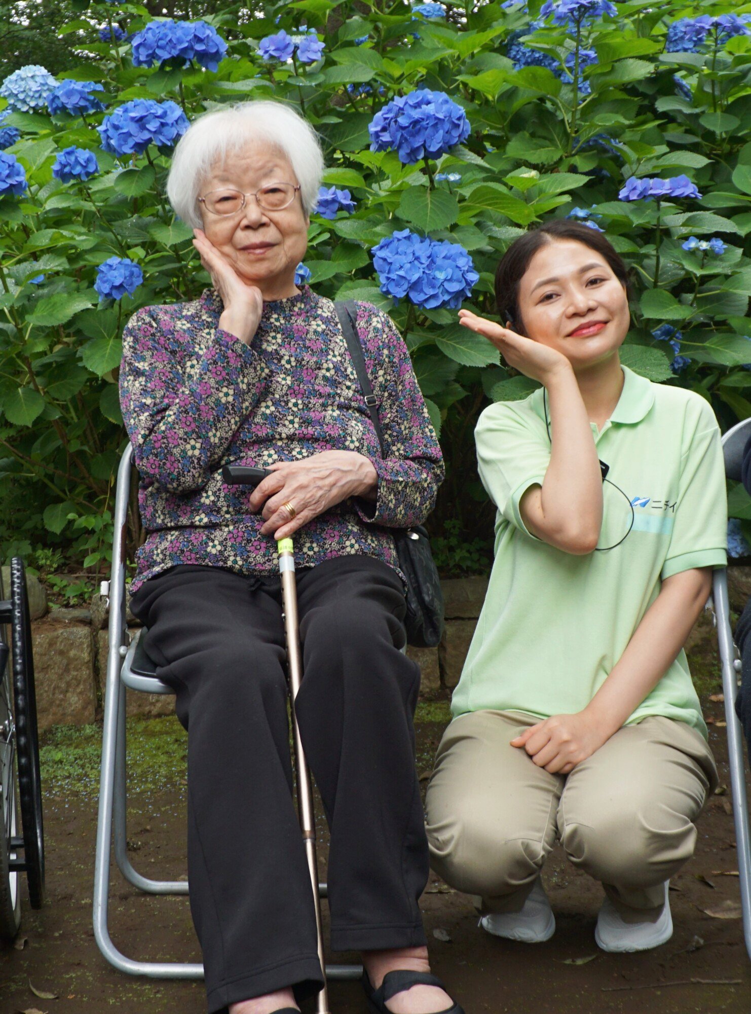 紫陽花散策-1　ニチイホーム練馬高野台