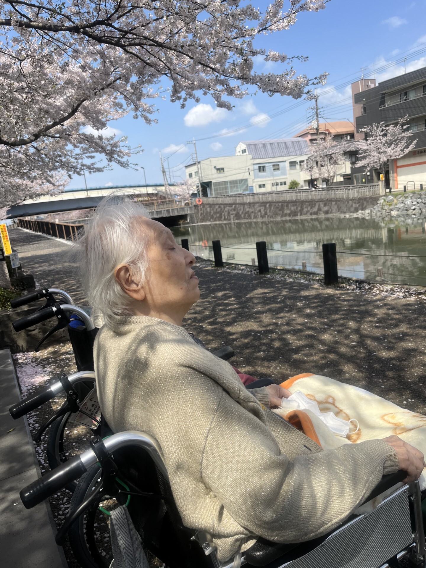 お花見-3　ニチイホーム西葛西