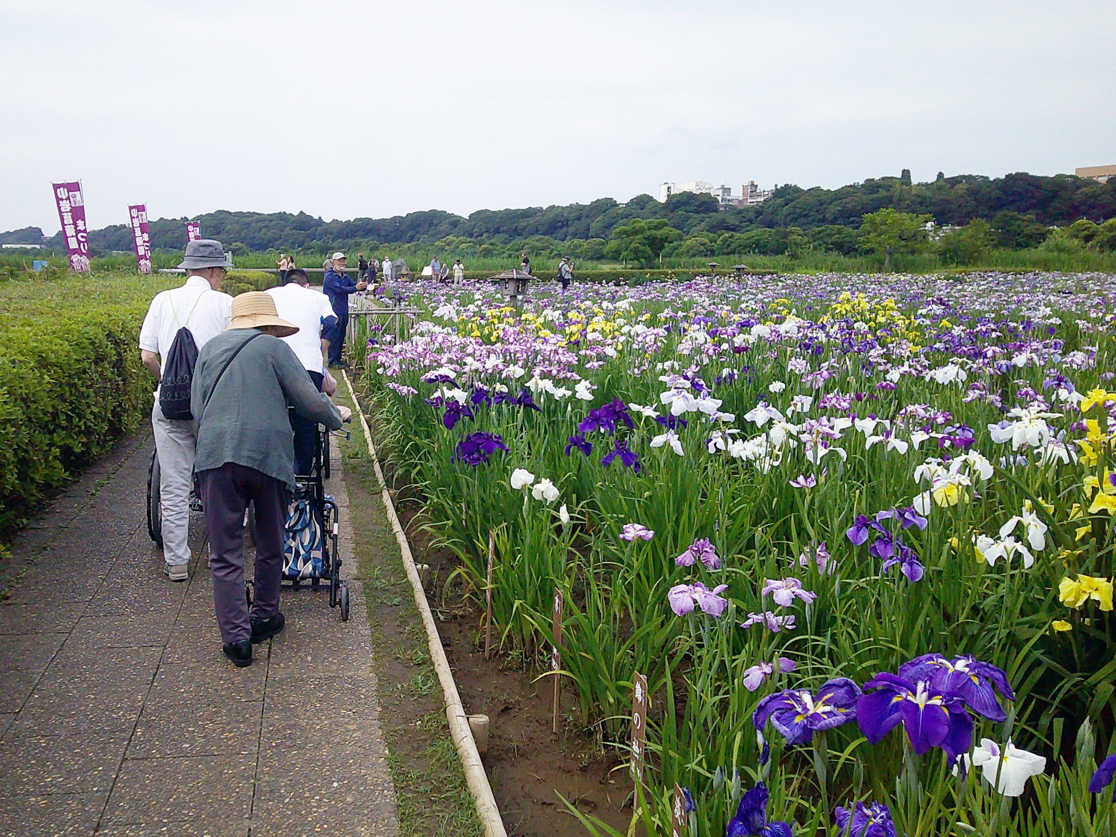 6月の外出-2　ニチイホーム西葛西