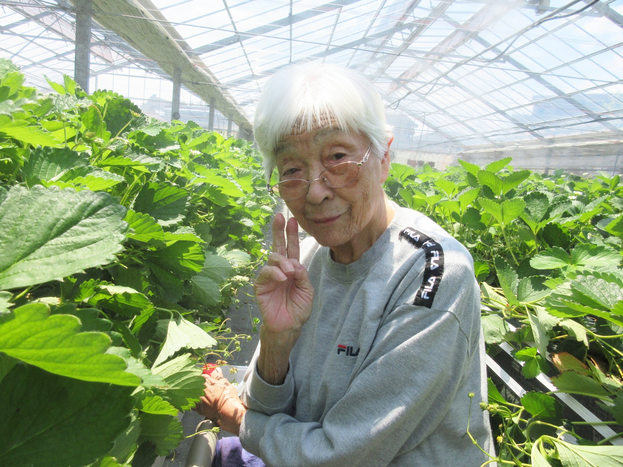 いちご狩り-4　ニチイホーム登戸