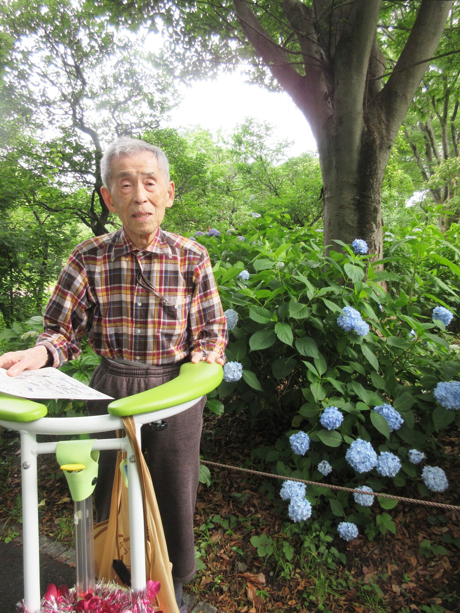 紫陽花鑑賞遠足-5　ニチイホーム登戸