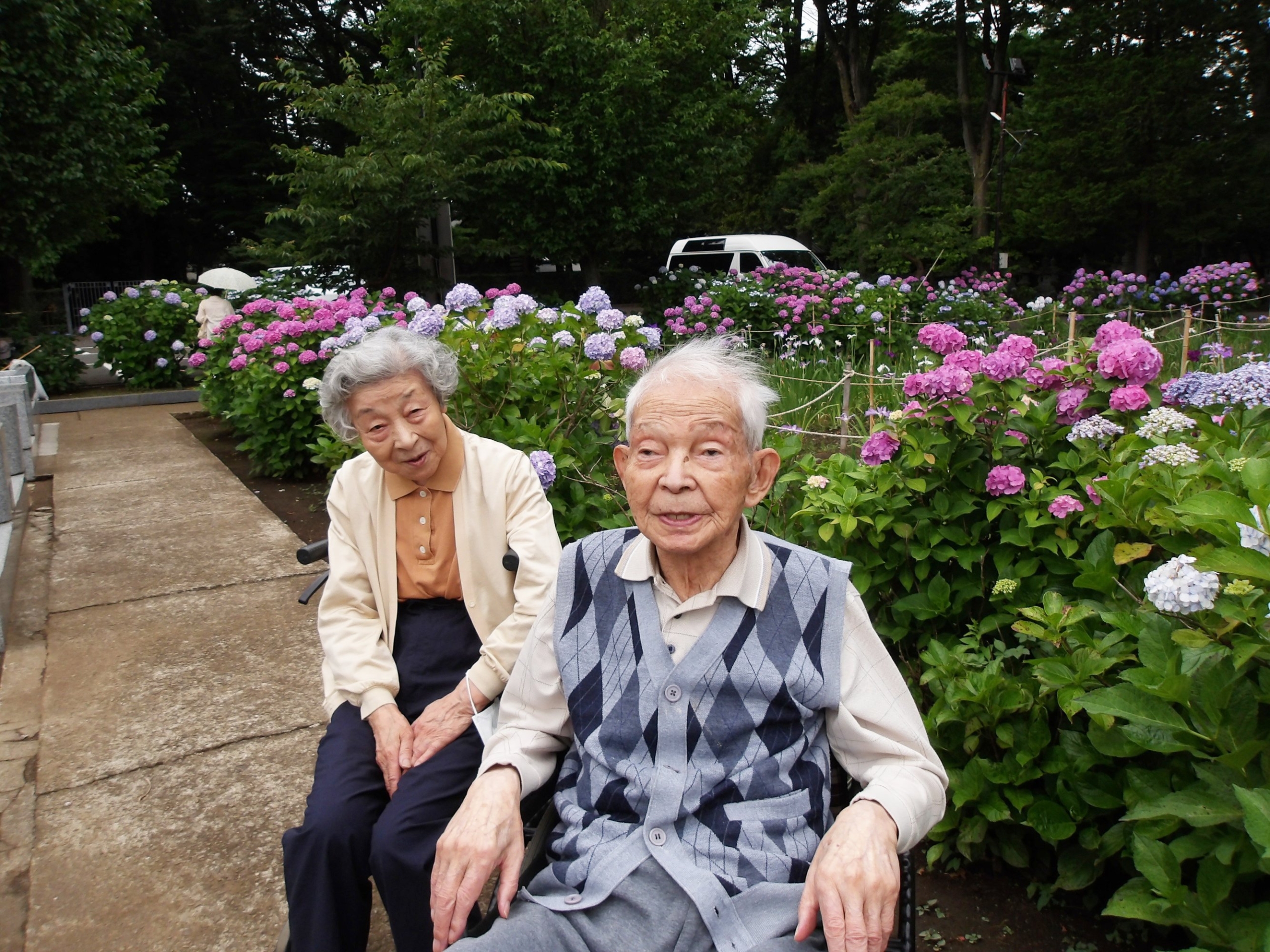 紫陽花を観賞してきました②-1　ニチイホーム野方