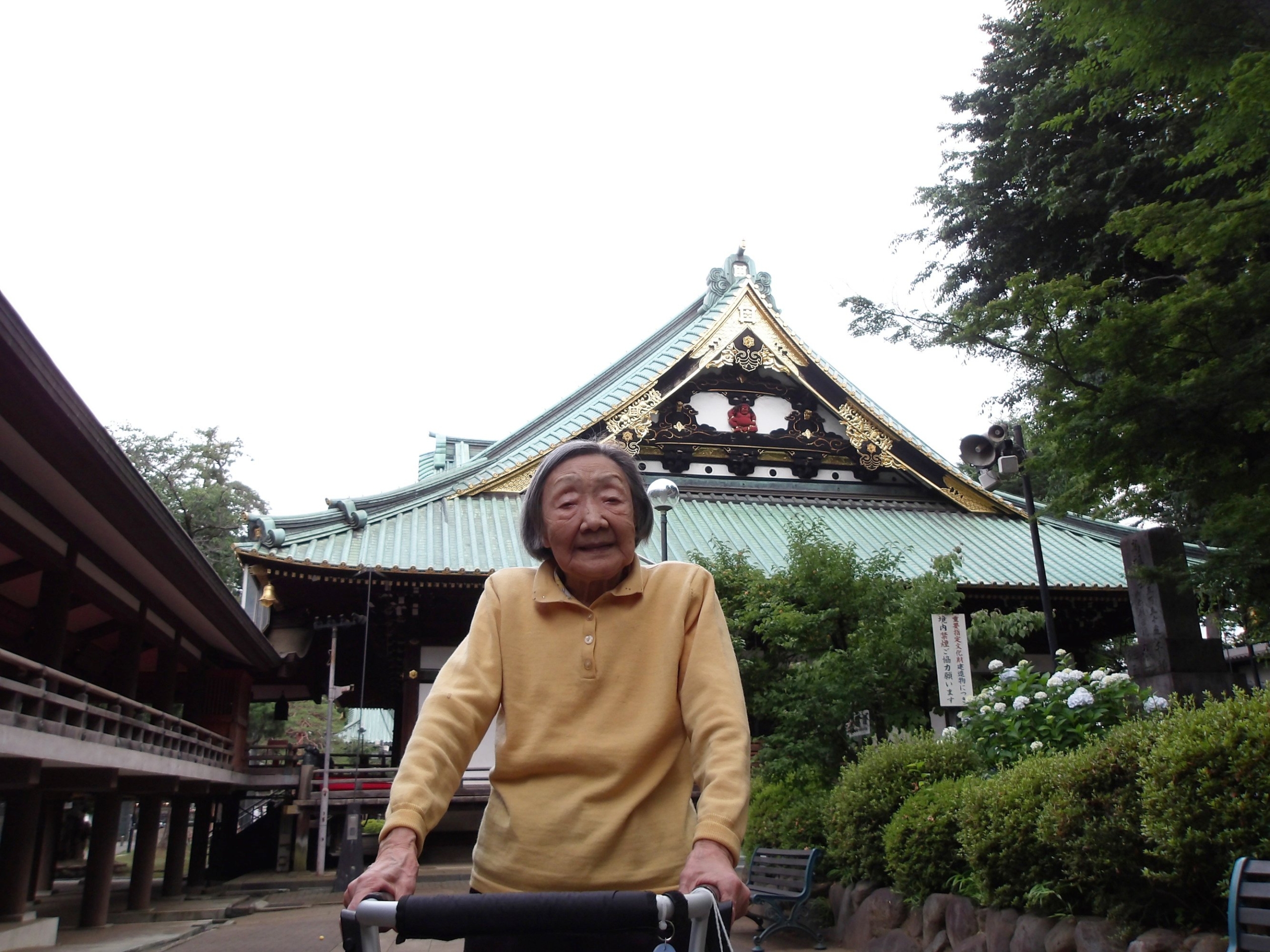 紫陽花を観賞してきました②-3　ニチイホーム野方