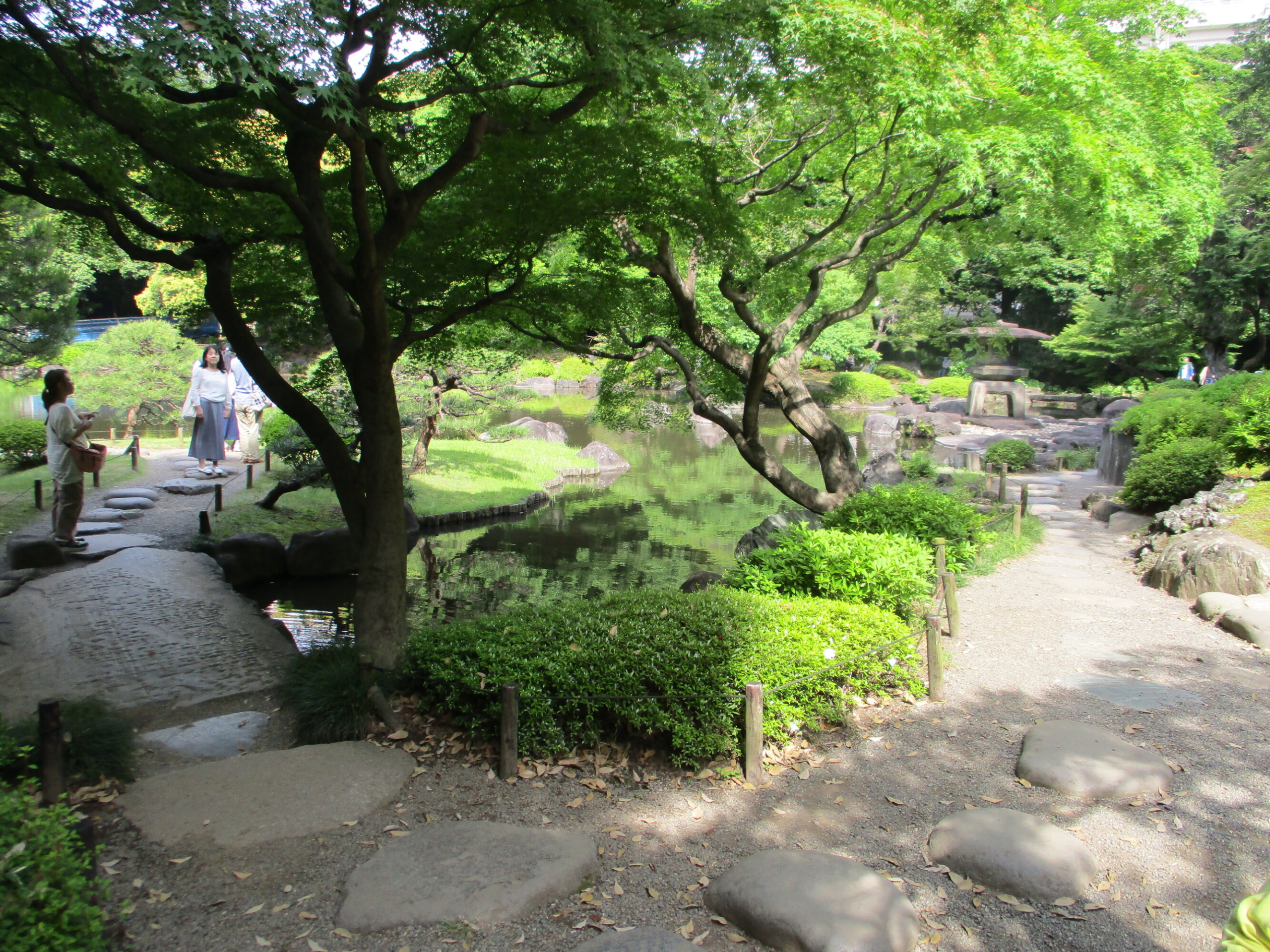 旧古河庭園へお出かけ-6　ニチイホーム王子