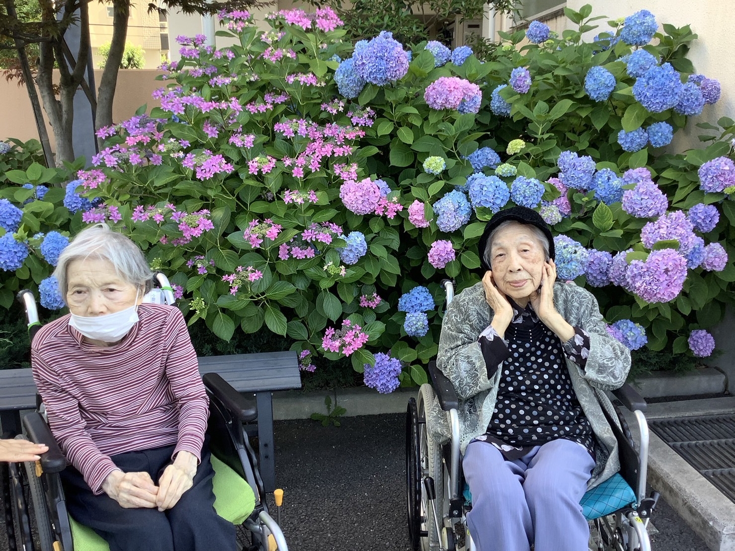 近隣散歩-3　ニチイホーム鷺ノ宮