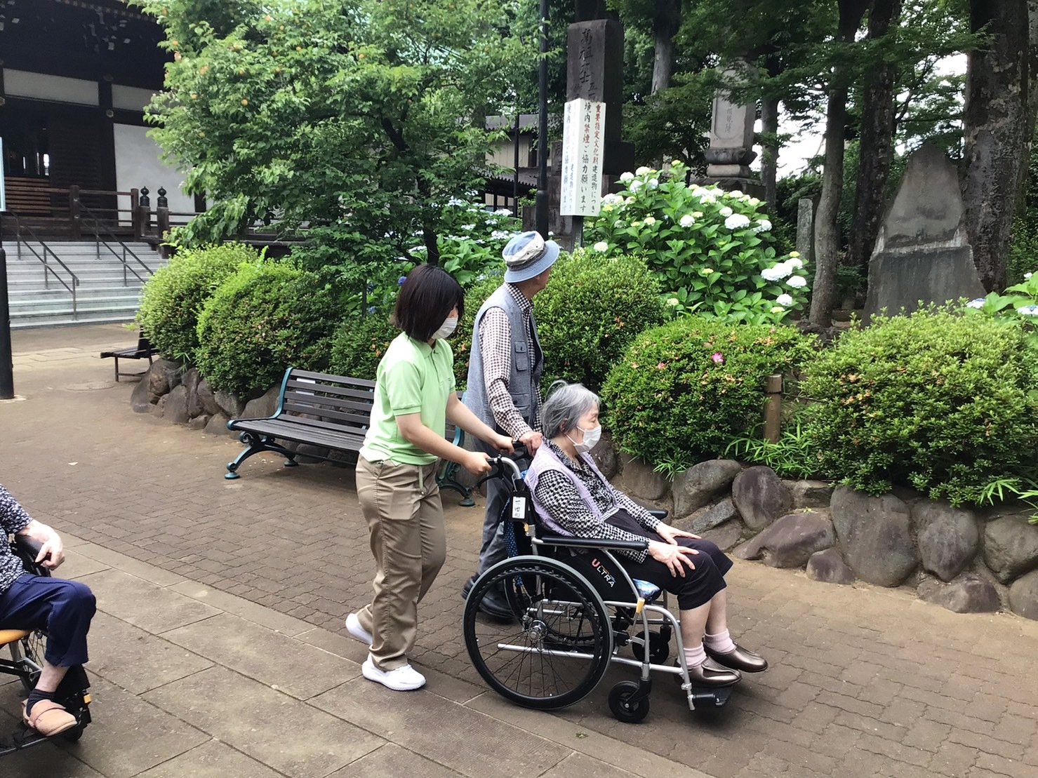 紫陽花鑑賞-3　ニチイホーム鷺ノ宮