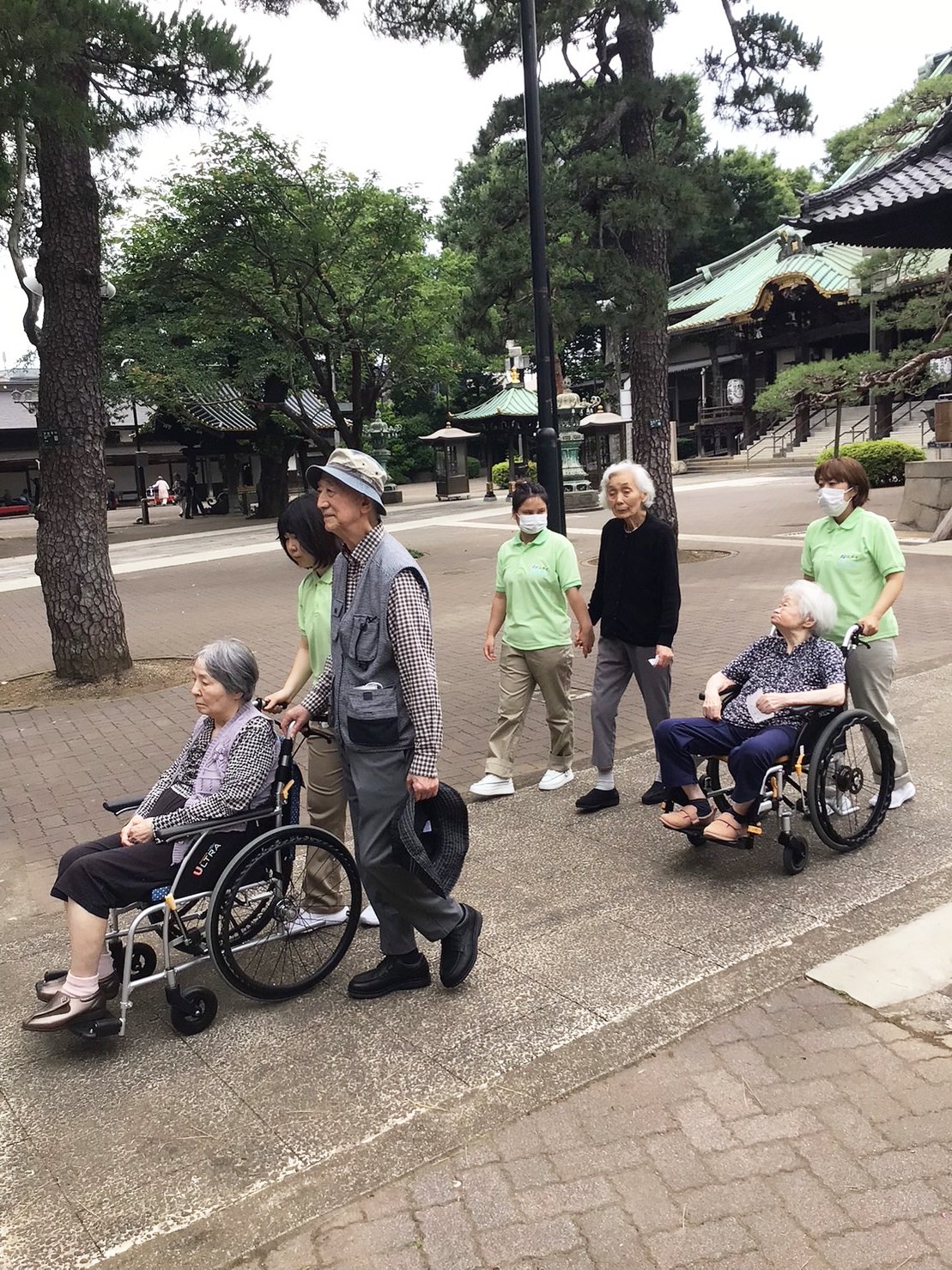 紫陽花鑑賞-6　ニチイホーム鷺ノ宮