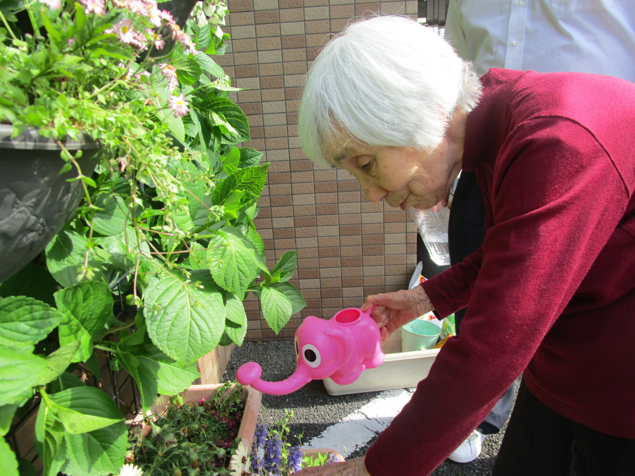 花を愛でる-5　ニチイホーム星ヶ丘