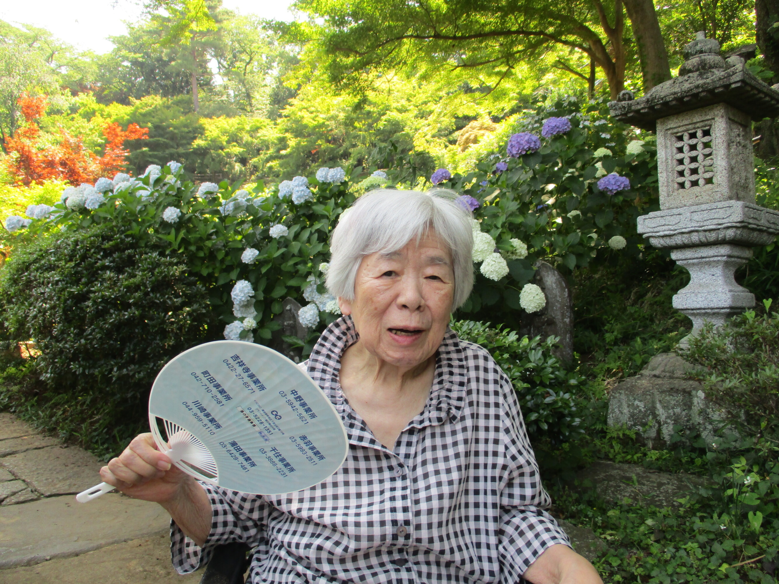 紫陽花-3　ニチイホーム読売ランド前