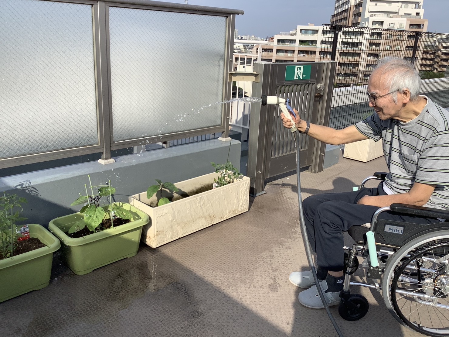 夏の楽しみ-3　ニチイホーム板橋徳丸