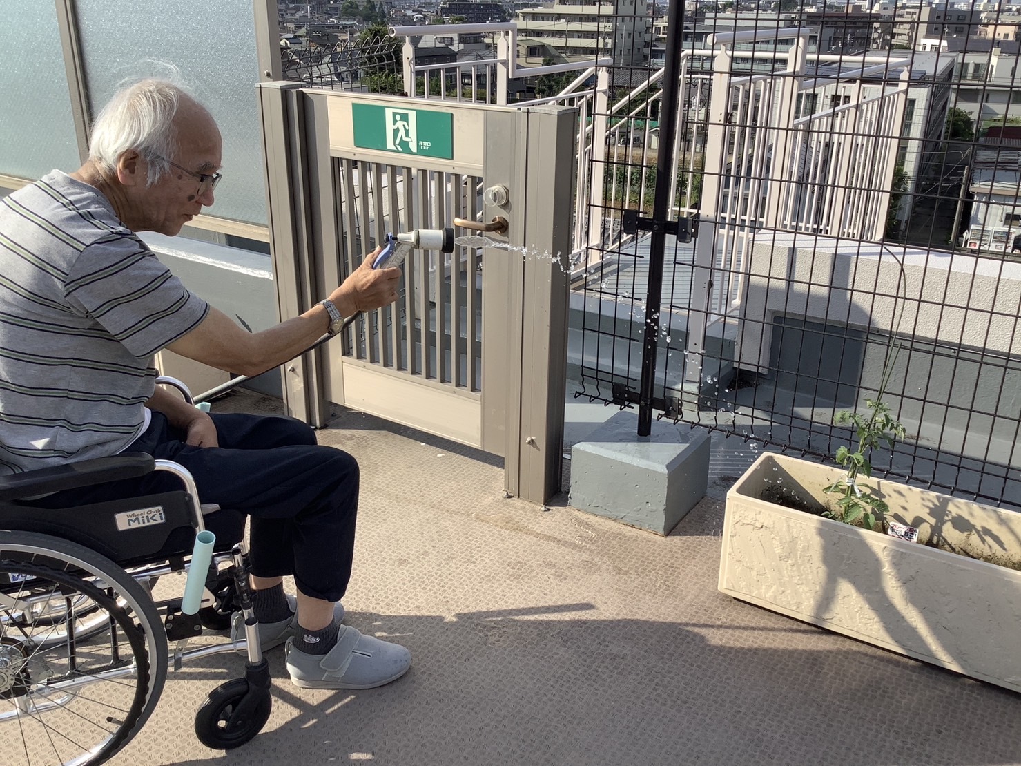 夏の楽しみ-5　ニチイホーム板橋徳丸