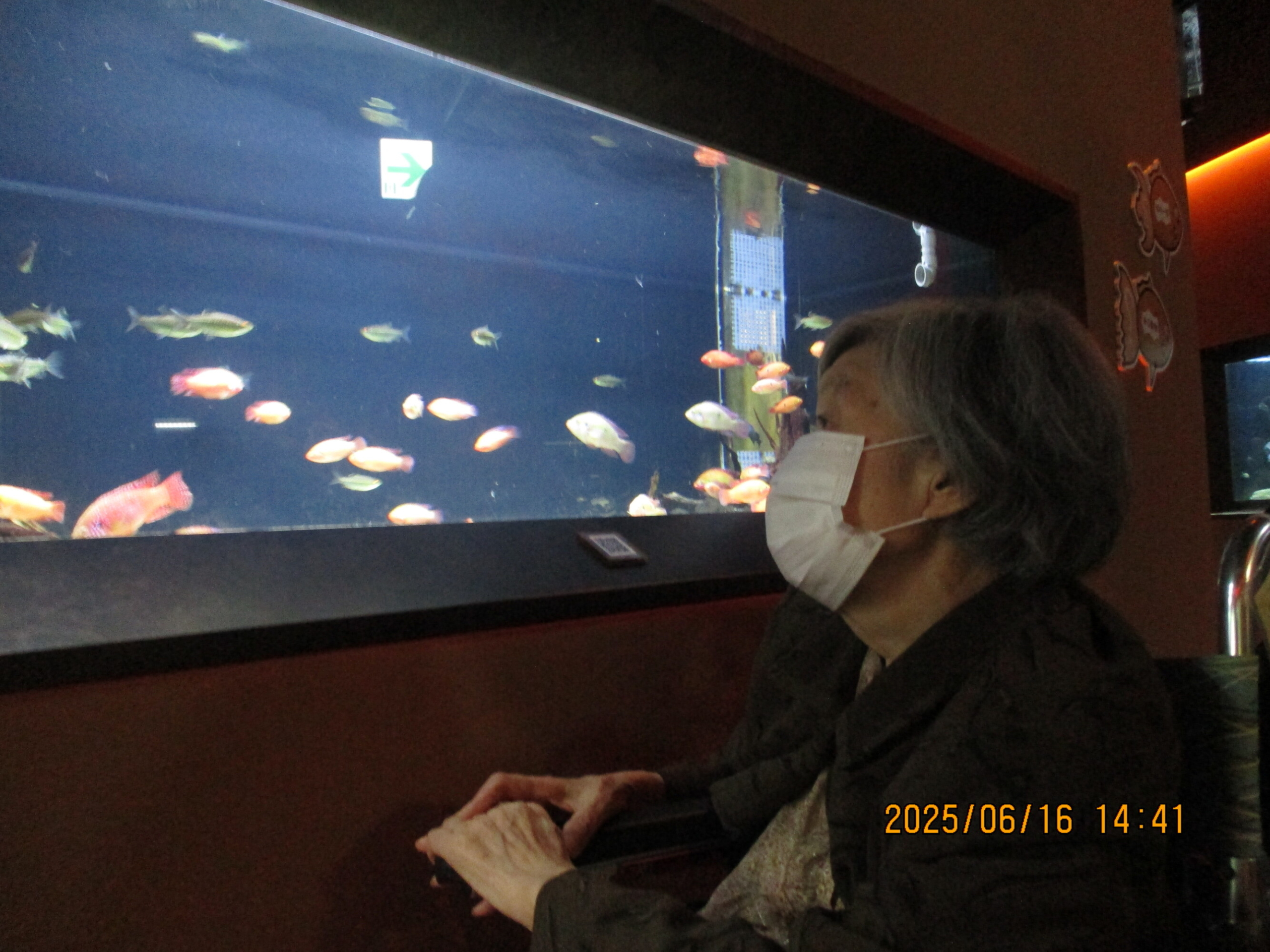 川崎水族館に行きました-1　ニチイホーム久が原