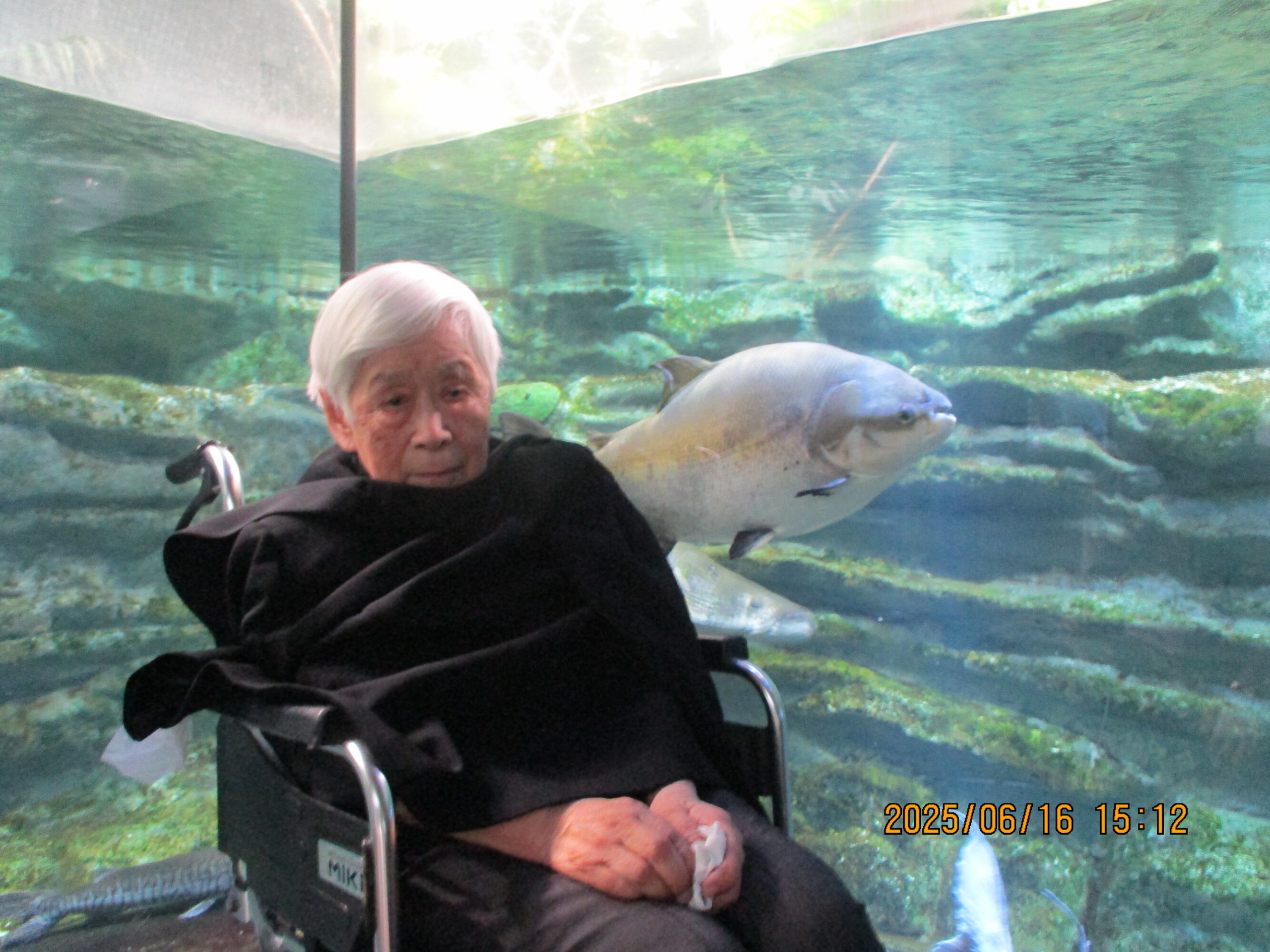 川崎水族館に行きました-4　ニチイホーム久が原