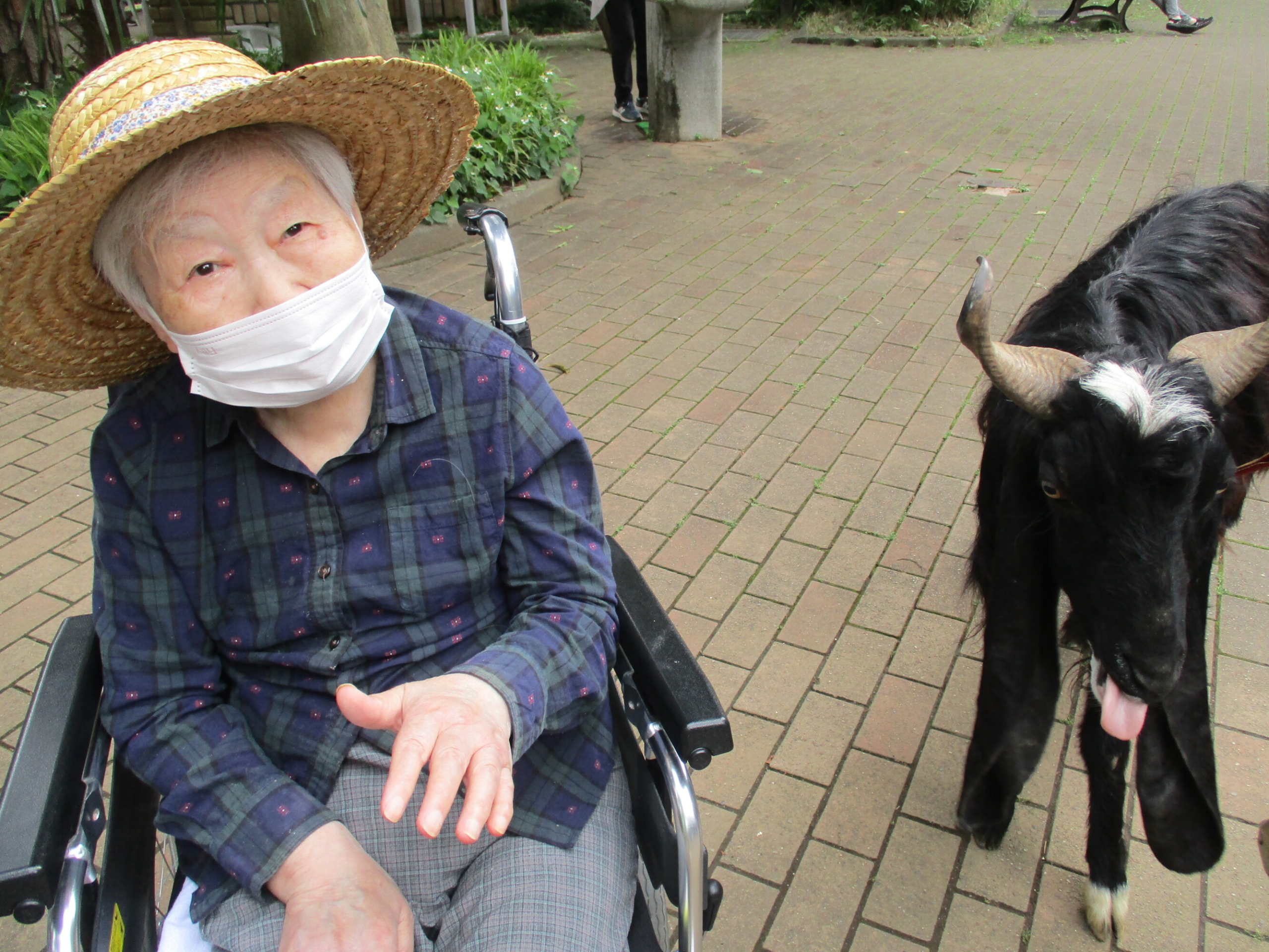 小動物園と動物とのふれあい-2　ニチイホーム大宮公園