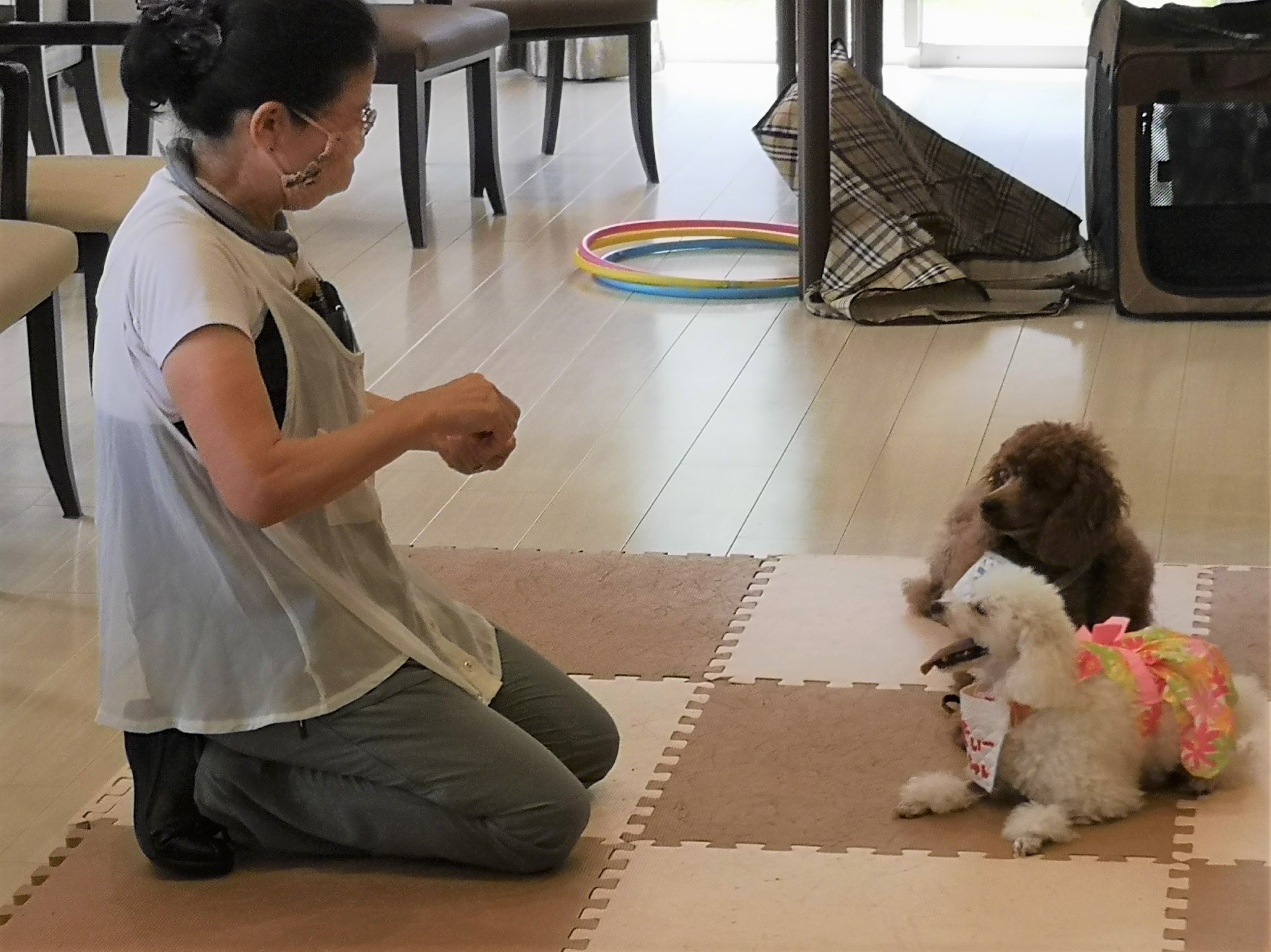 ニチイメゾン箕面白島ドッグセラピー_１