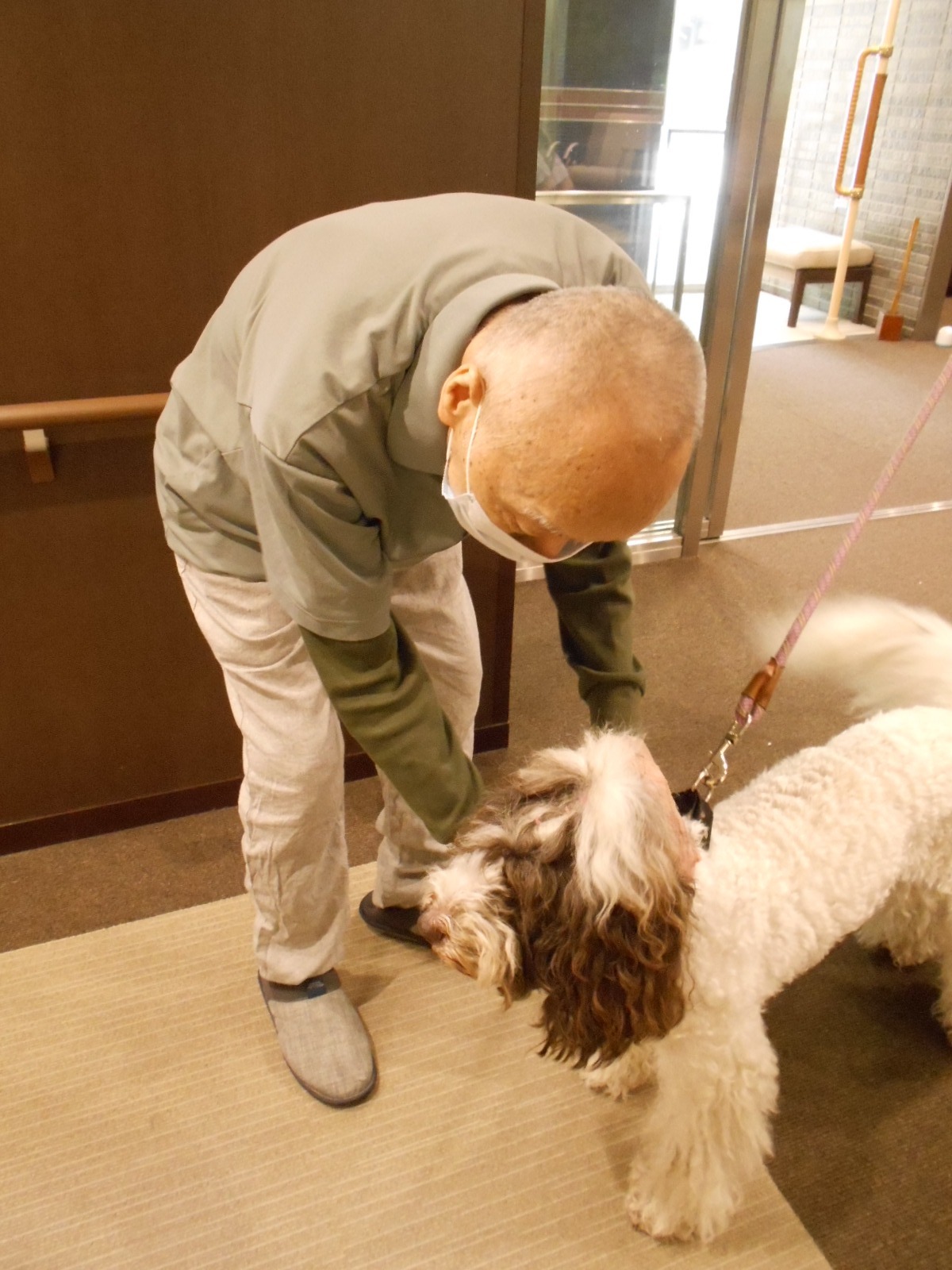 セラピー犬訪問-2　ニチイホーム江古田の杜