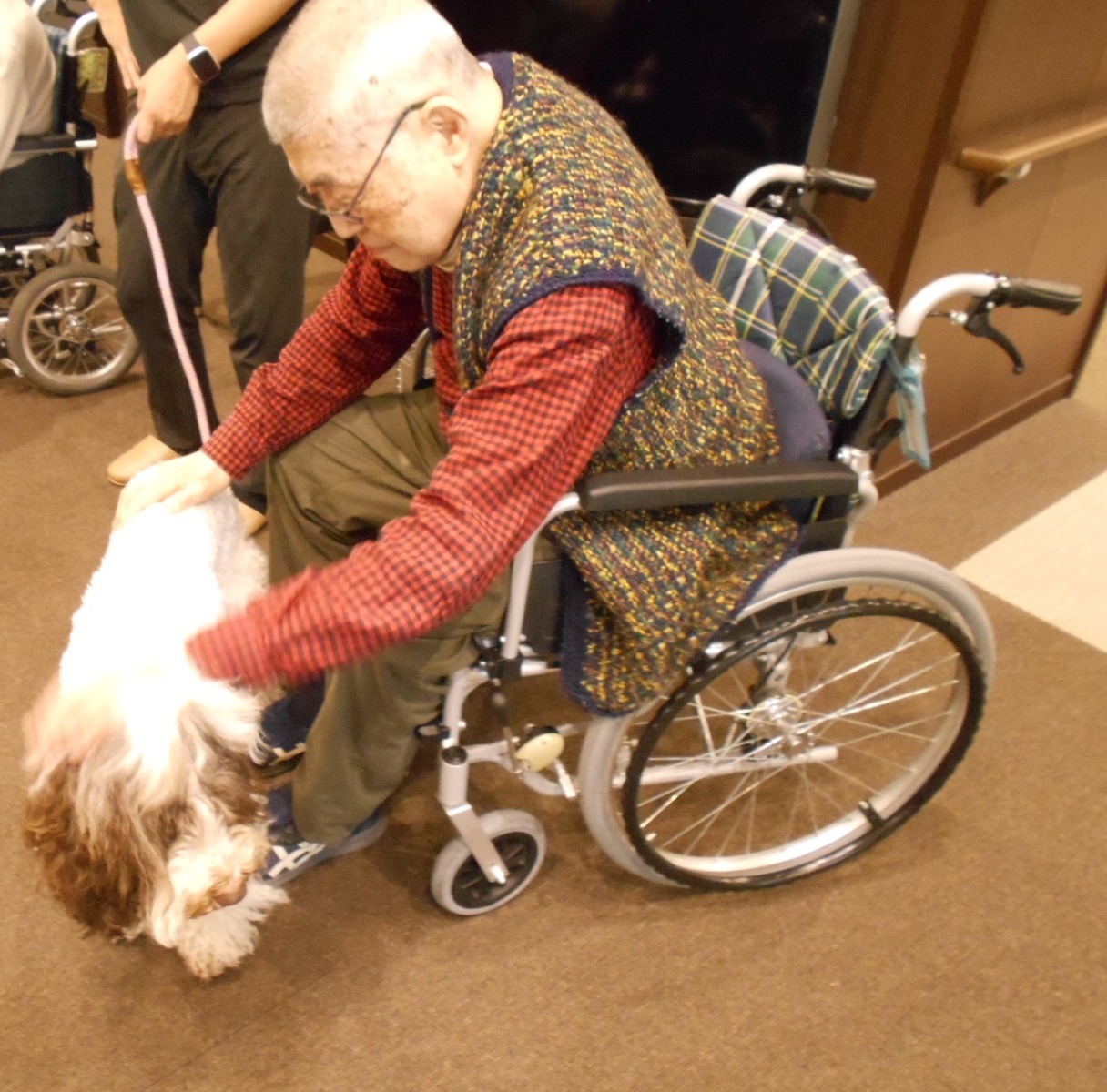 セラピー犬訪問-4　ニチイホーム江古田の杜