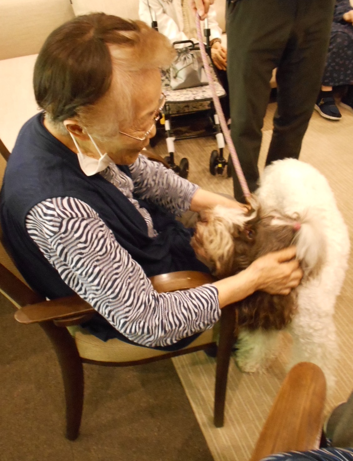 セラピー犬訪問-6　ニチイホーム江古田の杜