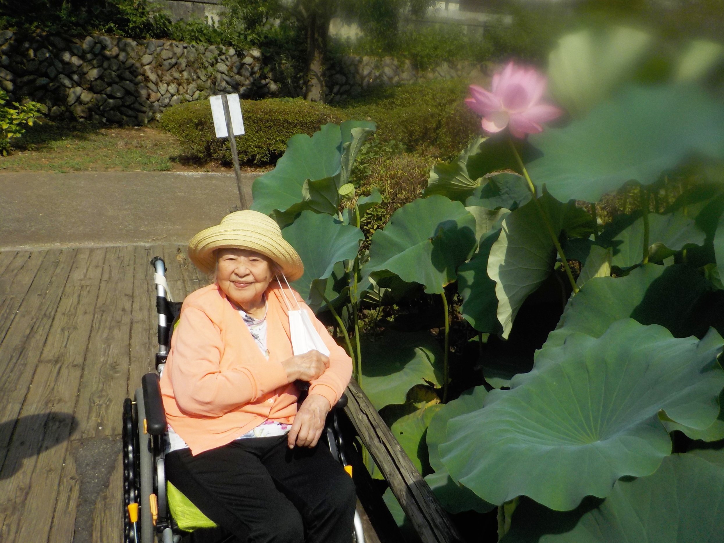 モーニングを楽しみ、蓮の花鑑賞へ-4　ニチイホームはるひ野Ⅱ番館