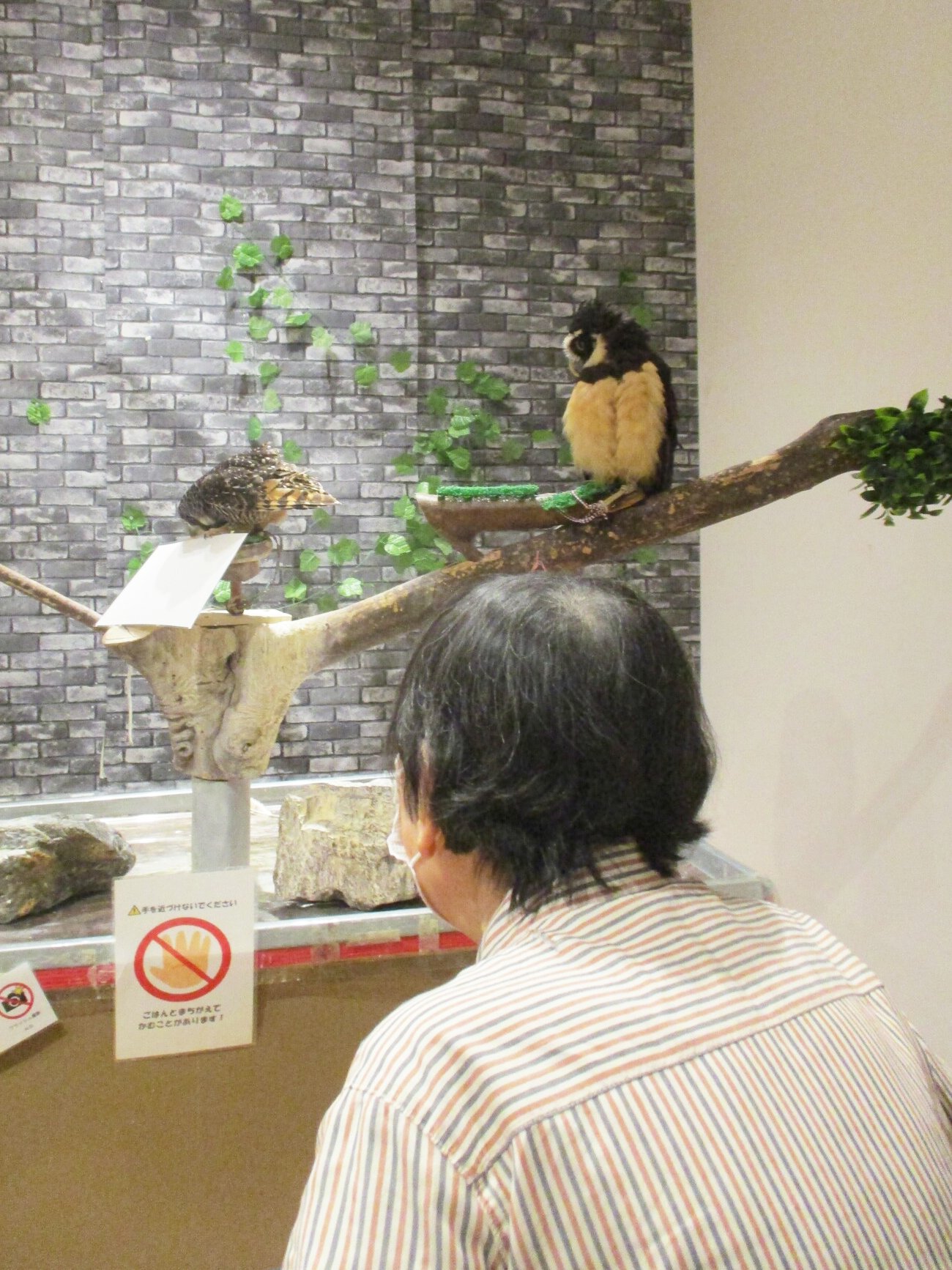 動物園-2　ニチイホーム柏の葉