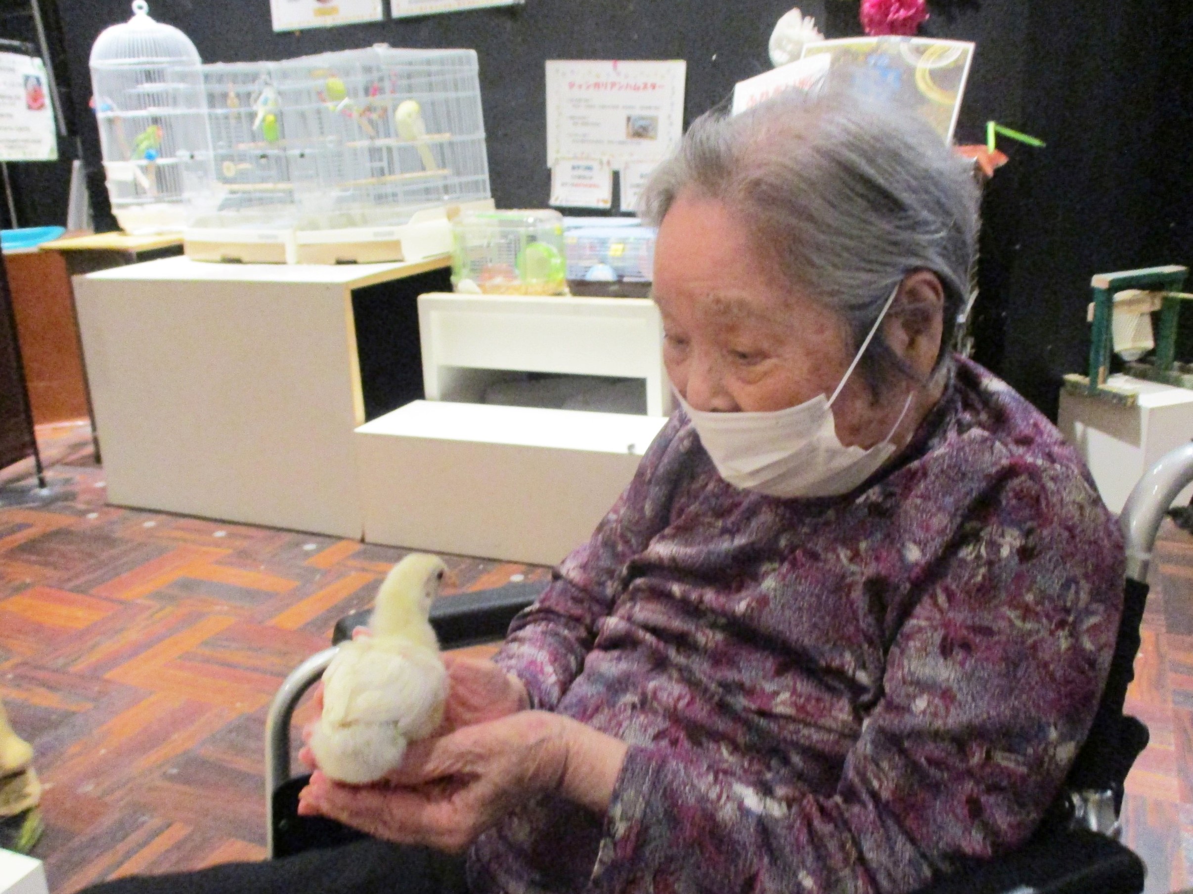 動物園-3　ニチイホーム柏の葉