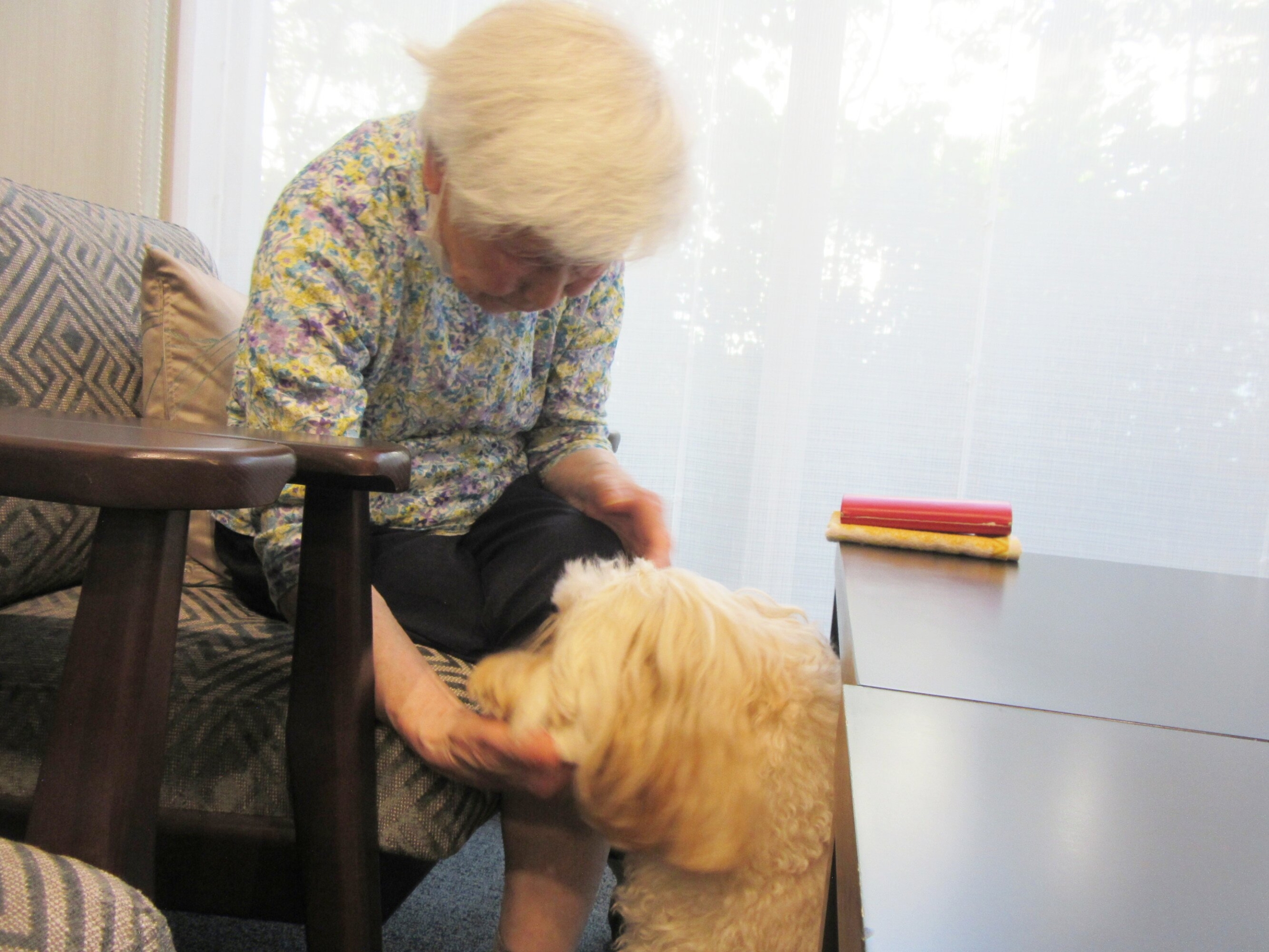 セラピー犬とのふれあい-4　ニチイホーム杉並堀ノ内