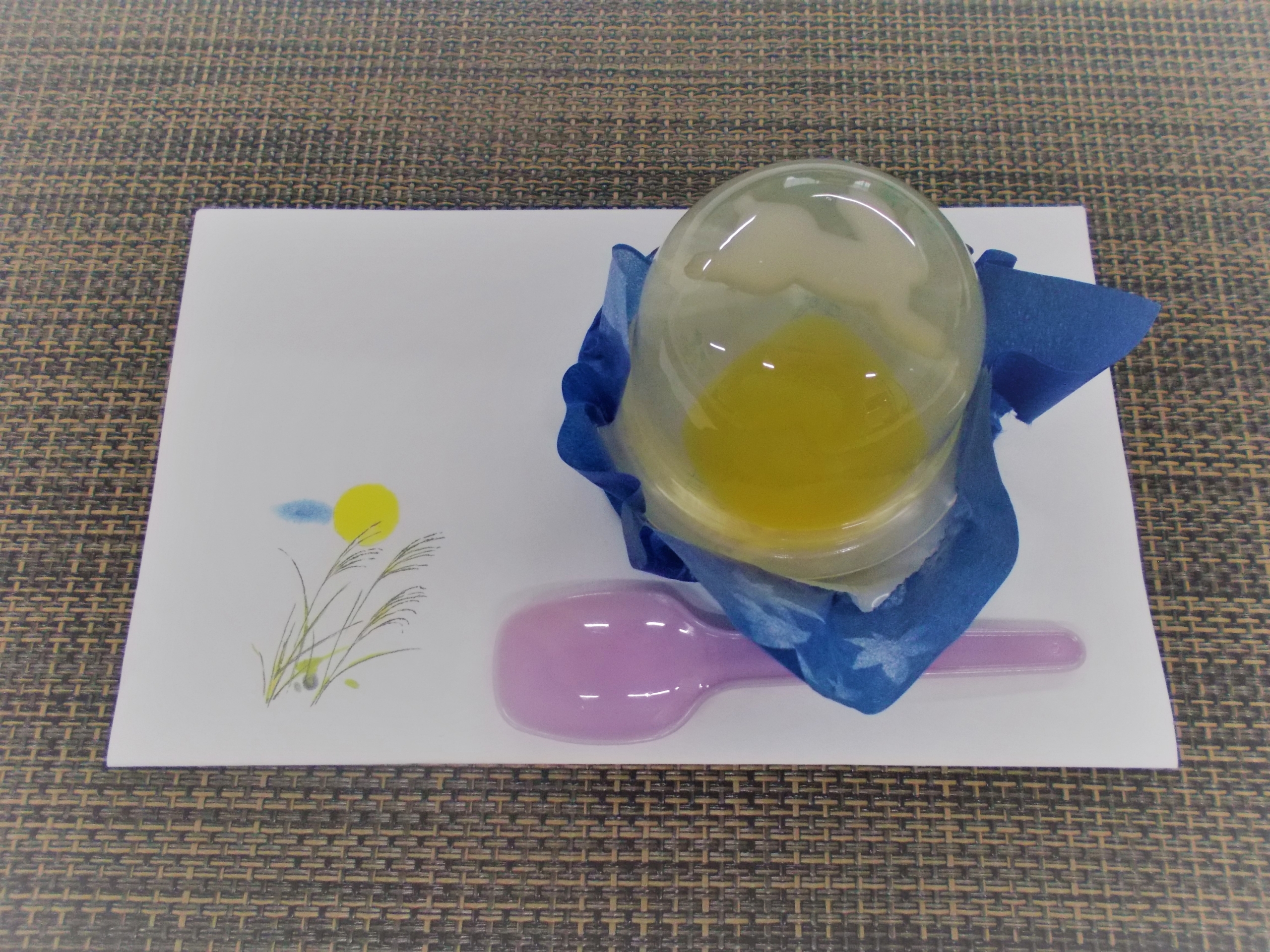 ニチイメゾン南草津Ⅱ番館20250926体操１
