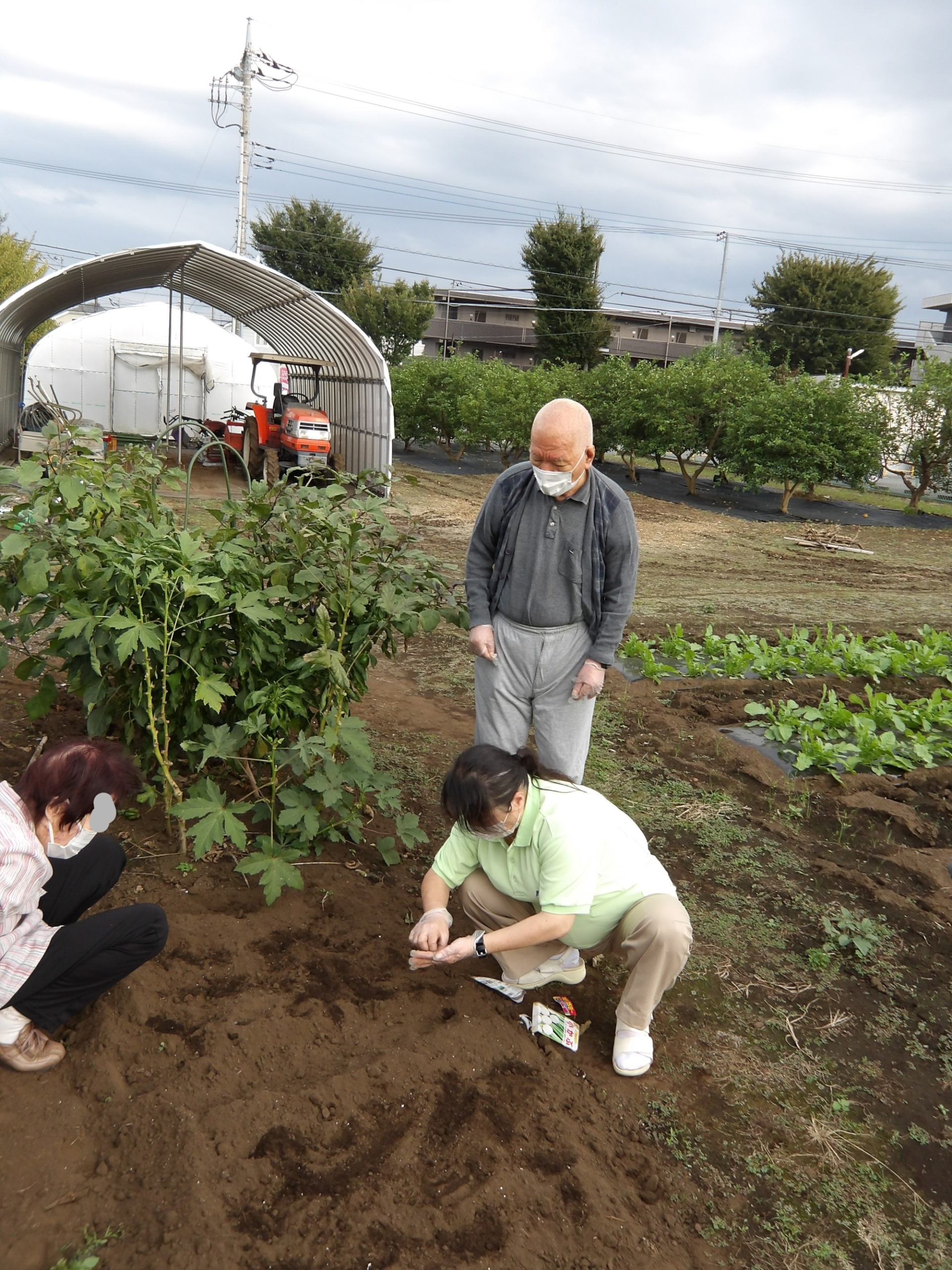 冬野菜の種まき-2　ニチイホーム東府中