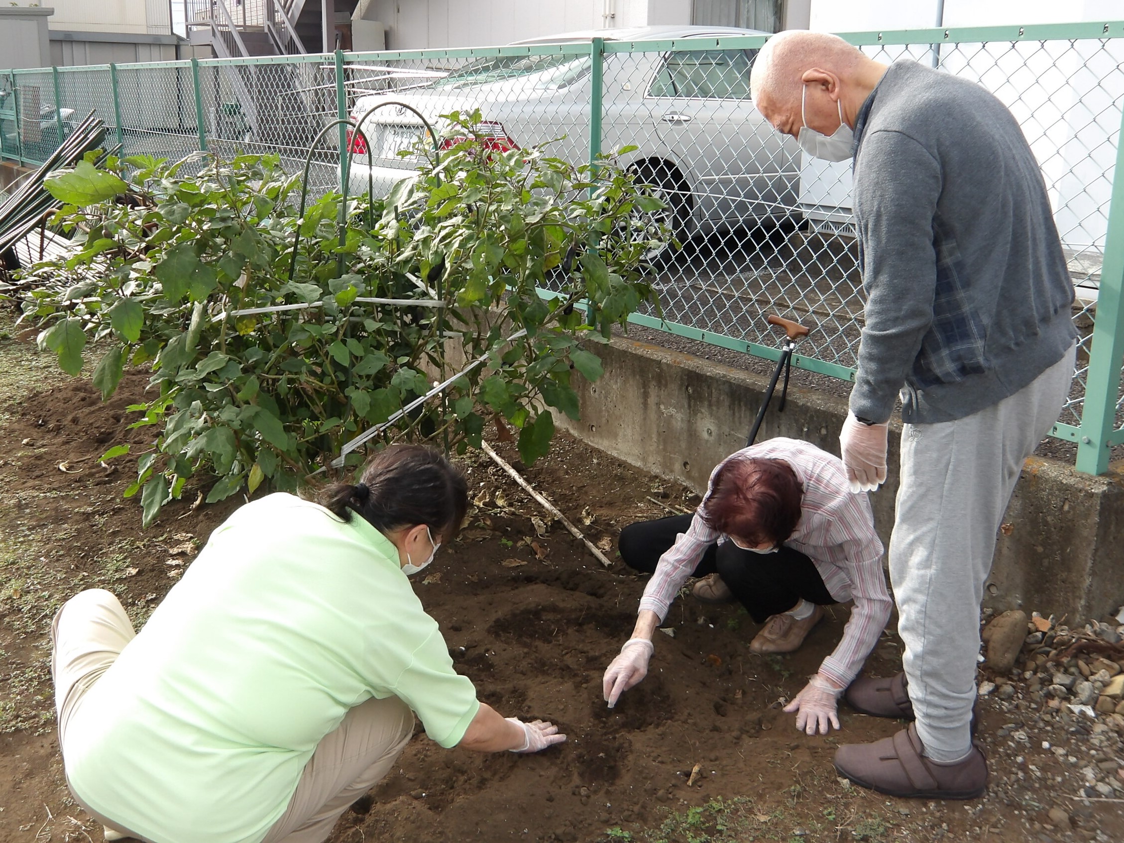 冬野菜の種まき-3　ニチイホーム東府中