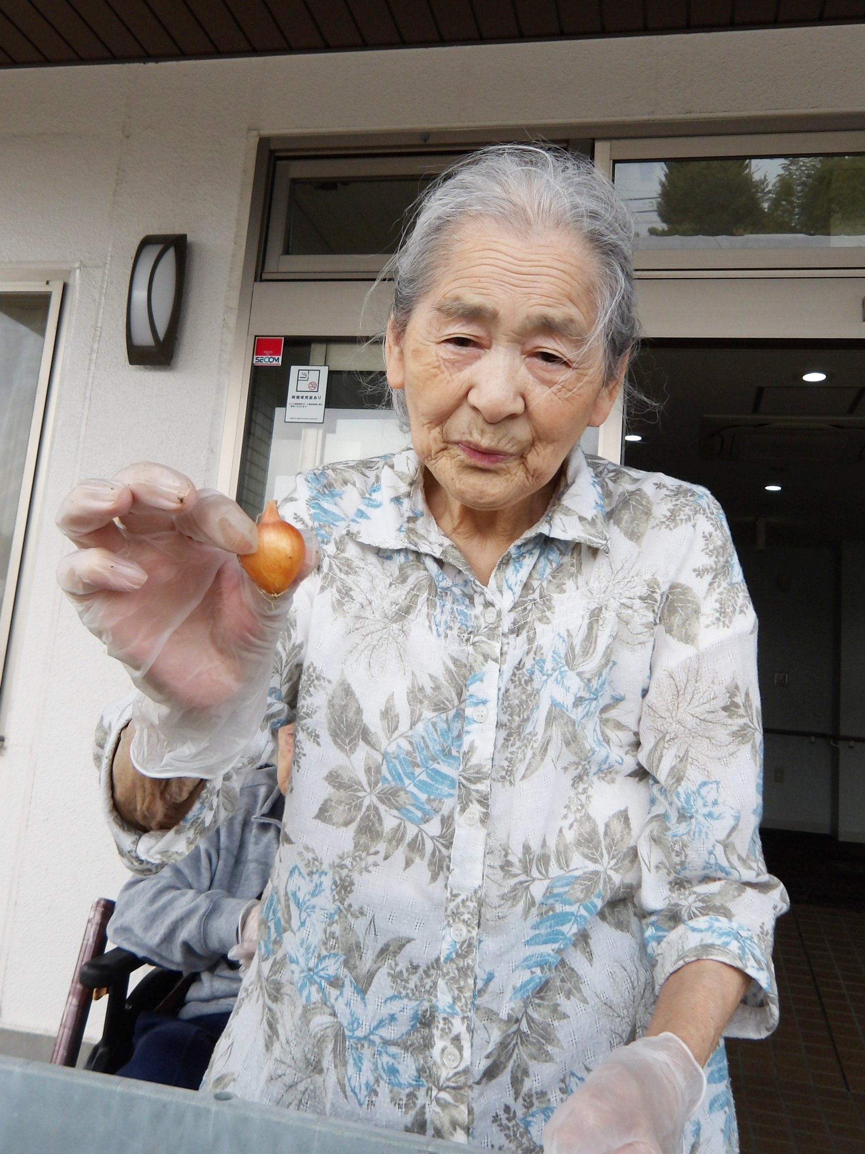 玉ネギの植え付け-1 ニチイホーム東府中