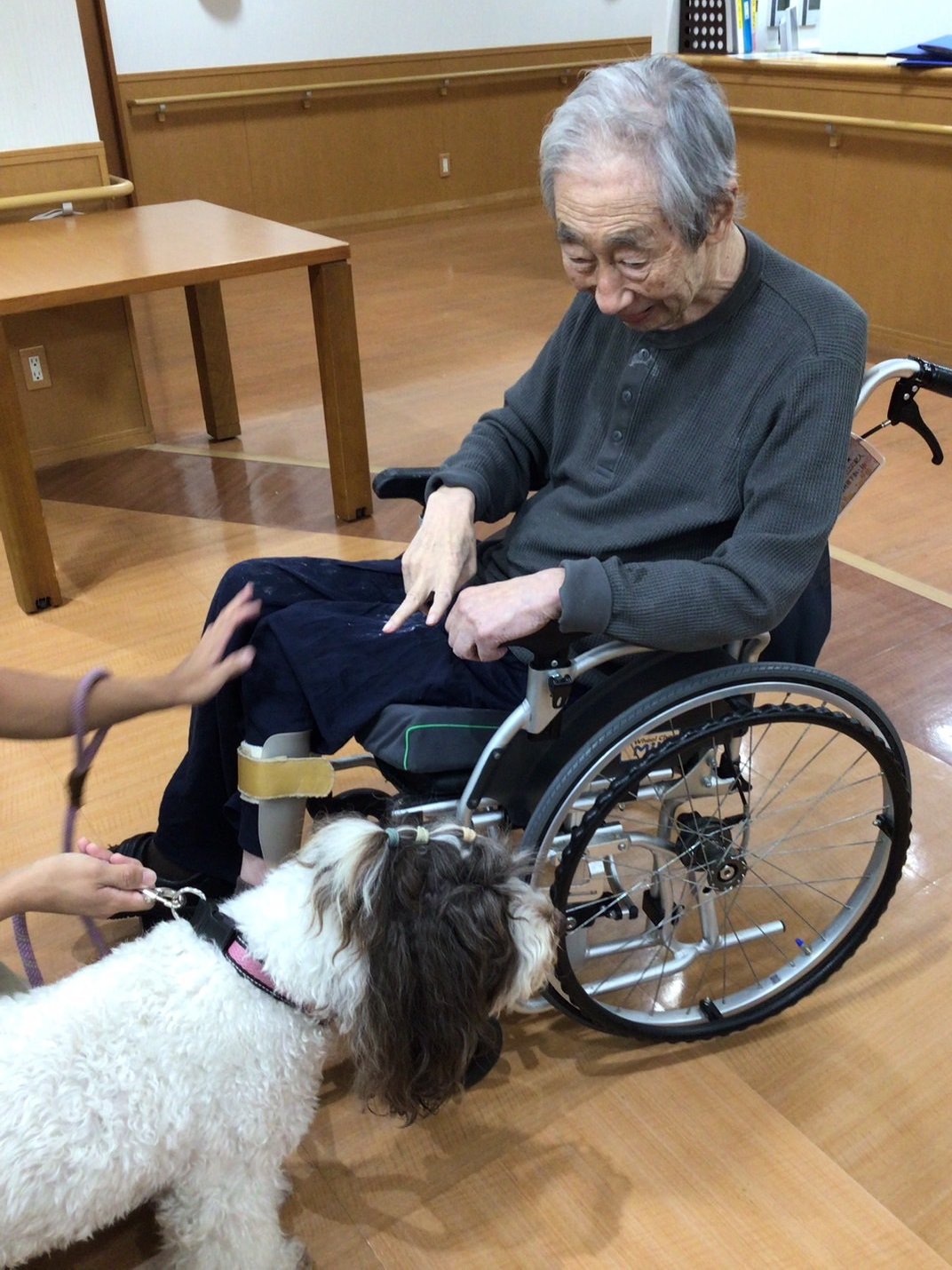 癒しの時間を-6　ニチイホーム板橋徳丸
