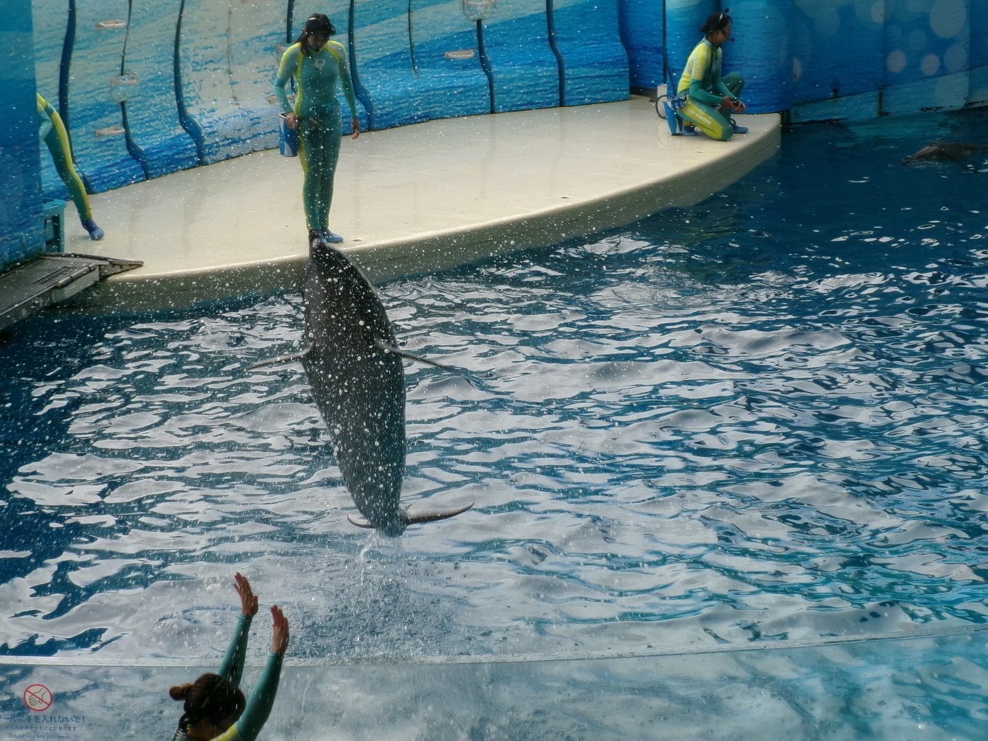 江ノ島の水族館に行ってきました-3　ニチイホーム上星川